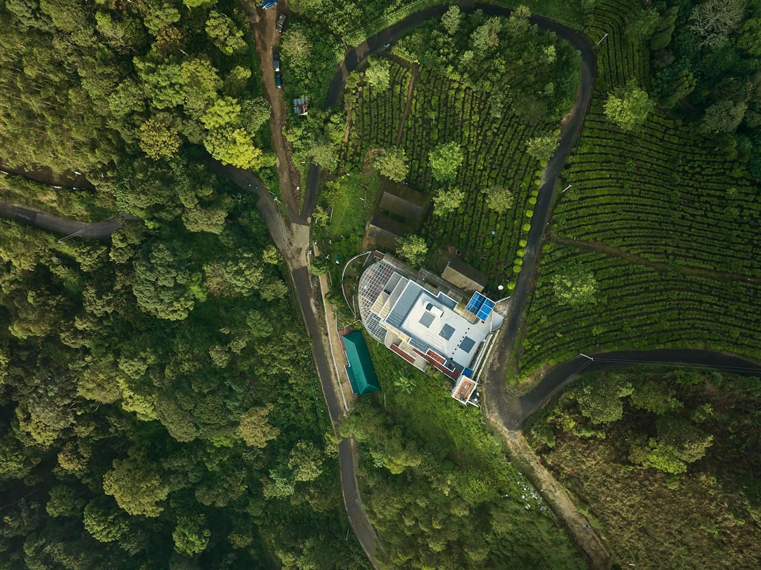 Eterno Camellia & Elettaria Resort with Pool