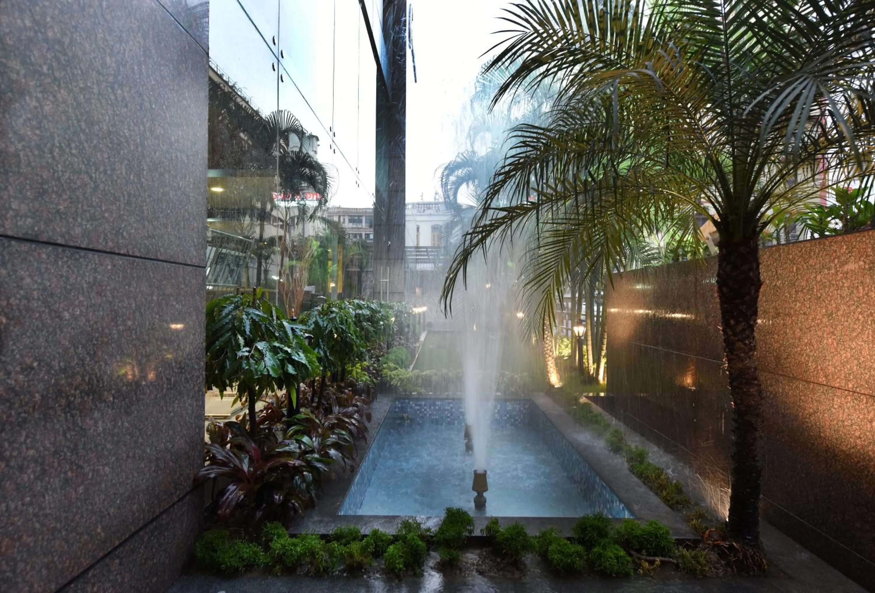 Garden in The CORPORATE