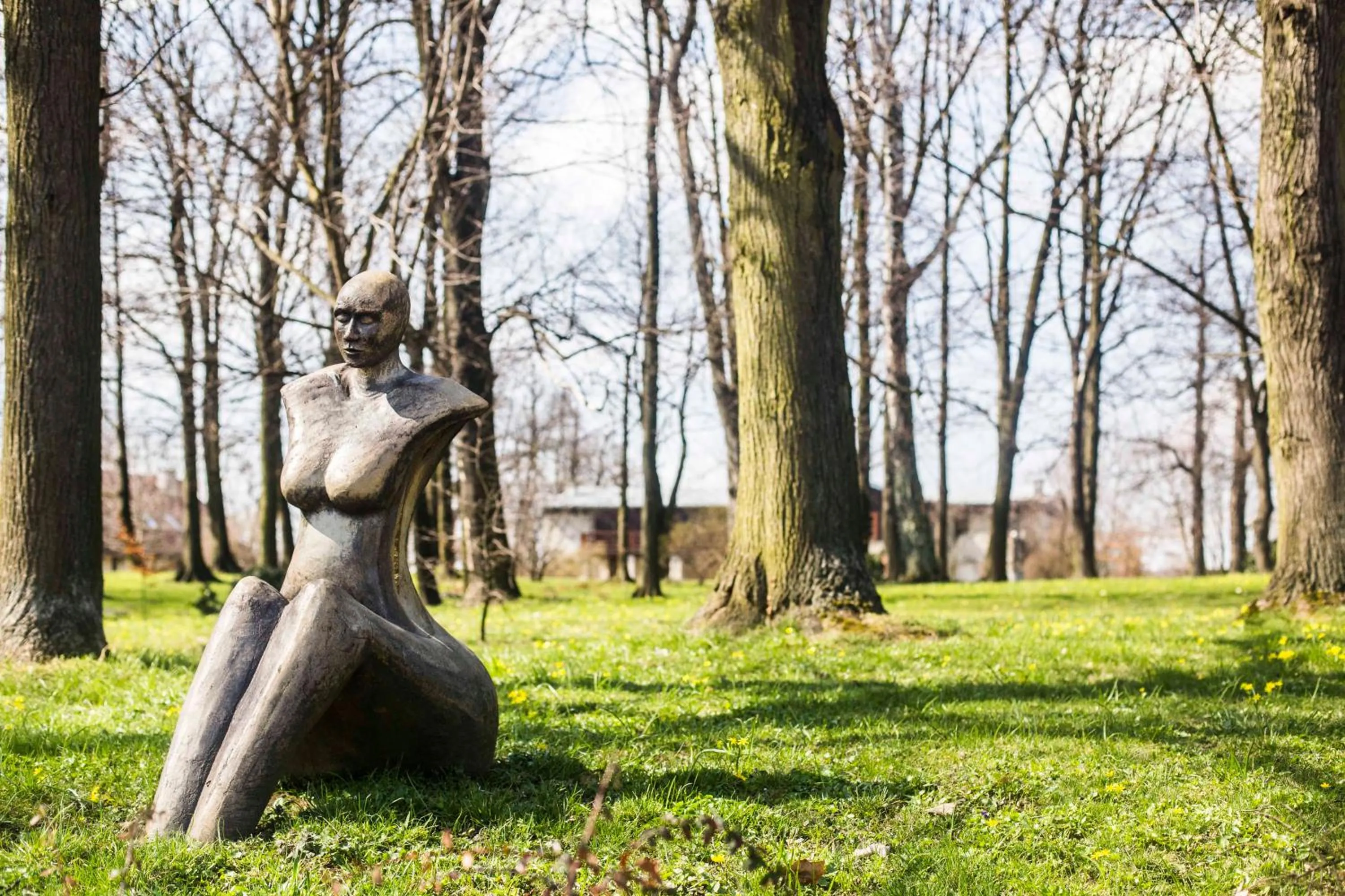 Garden view in Dwór w Tomaszowicach