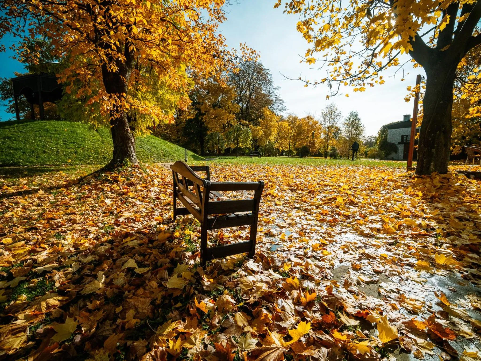 Garden in Dwór w Tomaszowicach