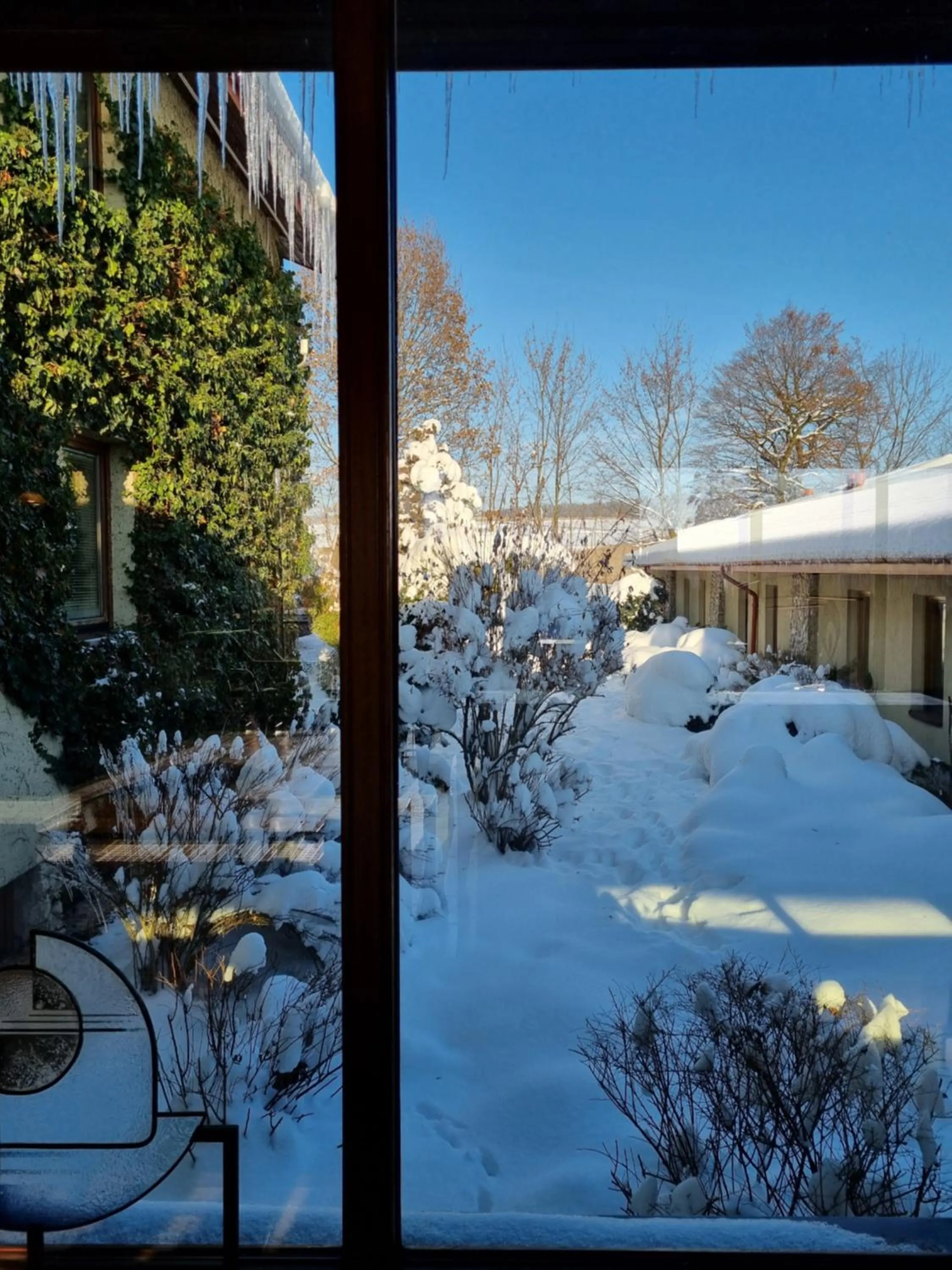 Winter in Dwór w Tomaszowicach