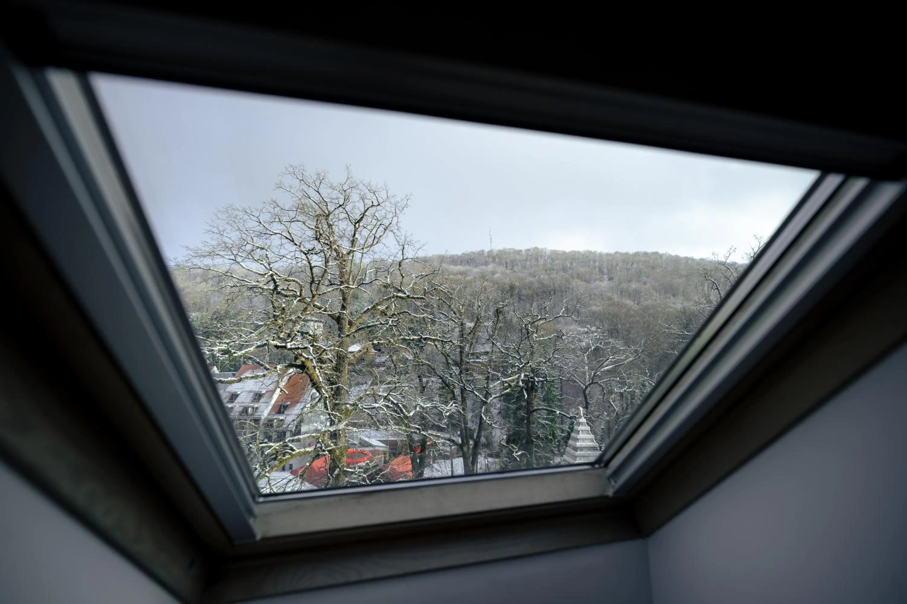 Natural landscape in Vila Noblesse