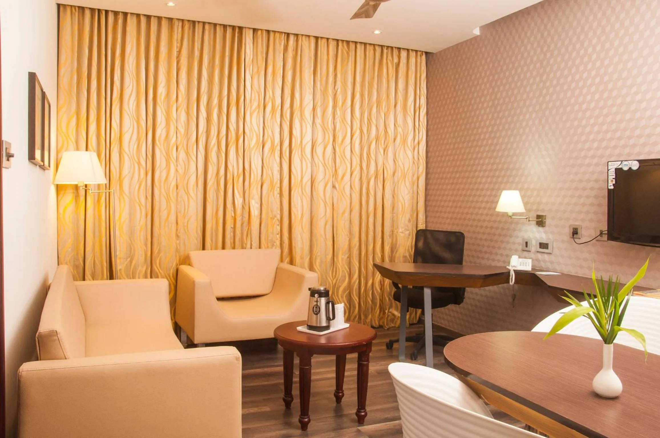 TV and multimedia in Hotel Indraprastha