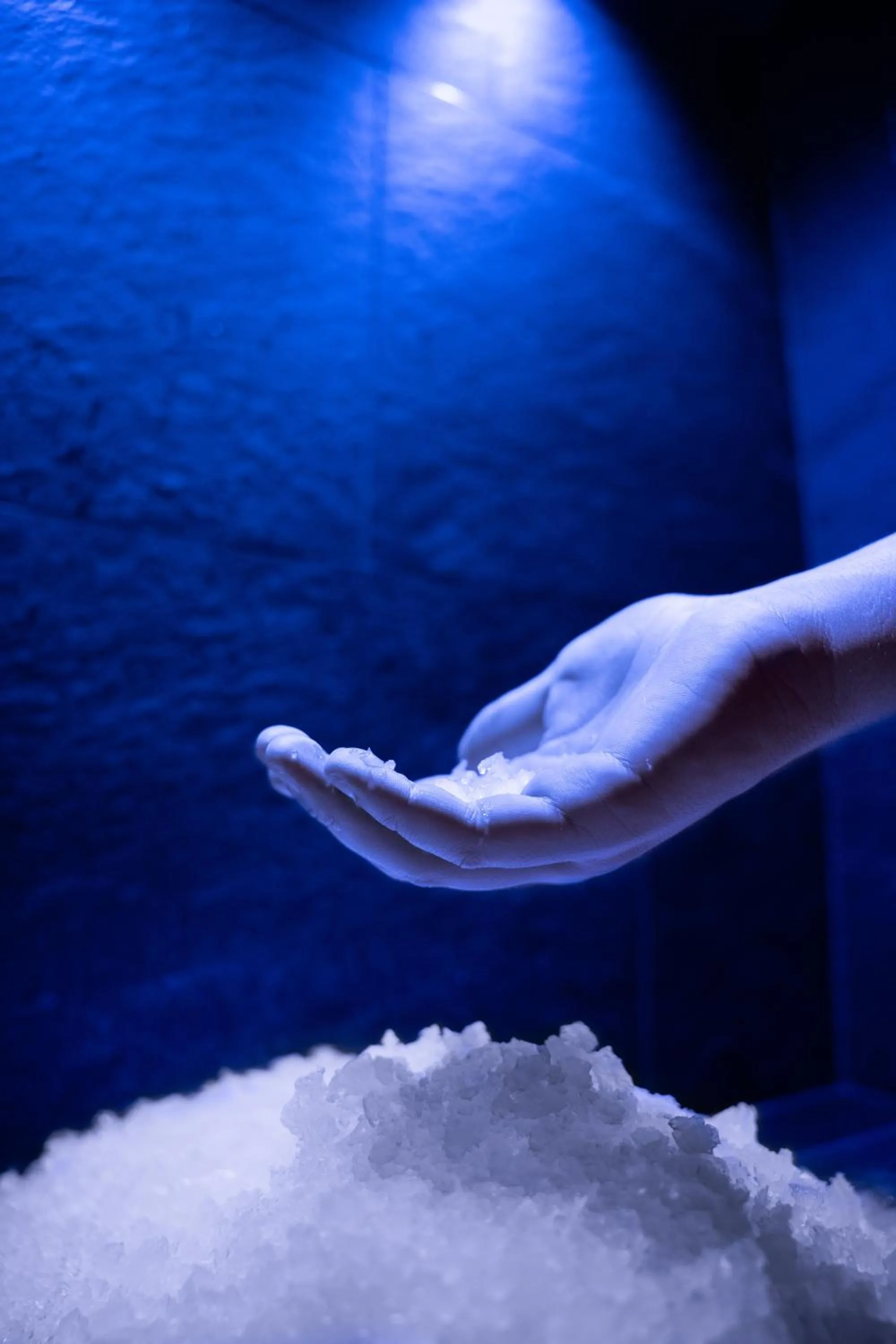 Spa and wellness centre/facilities in Hotel Fernblick