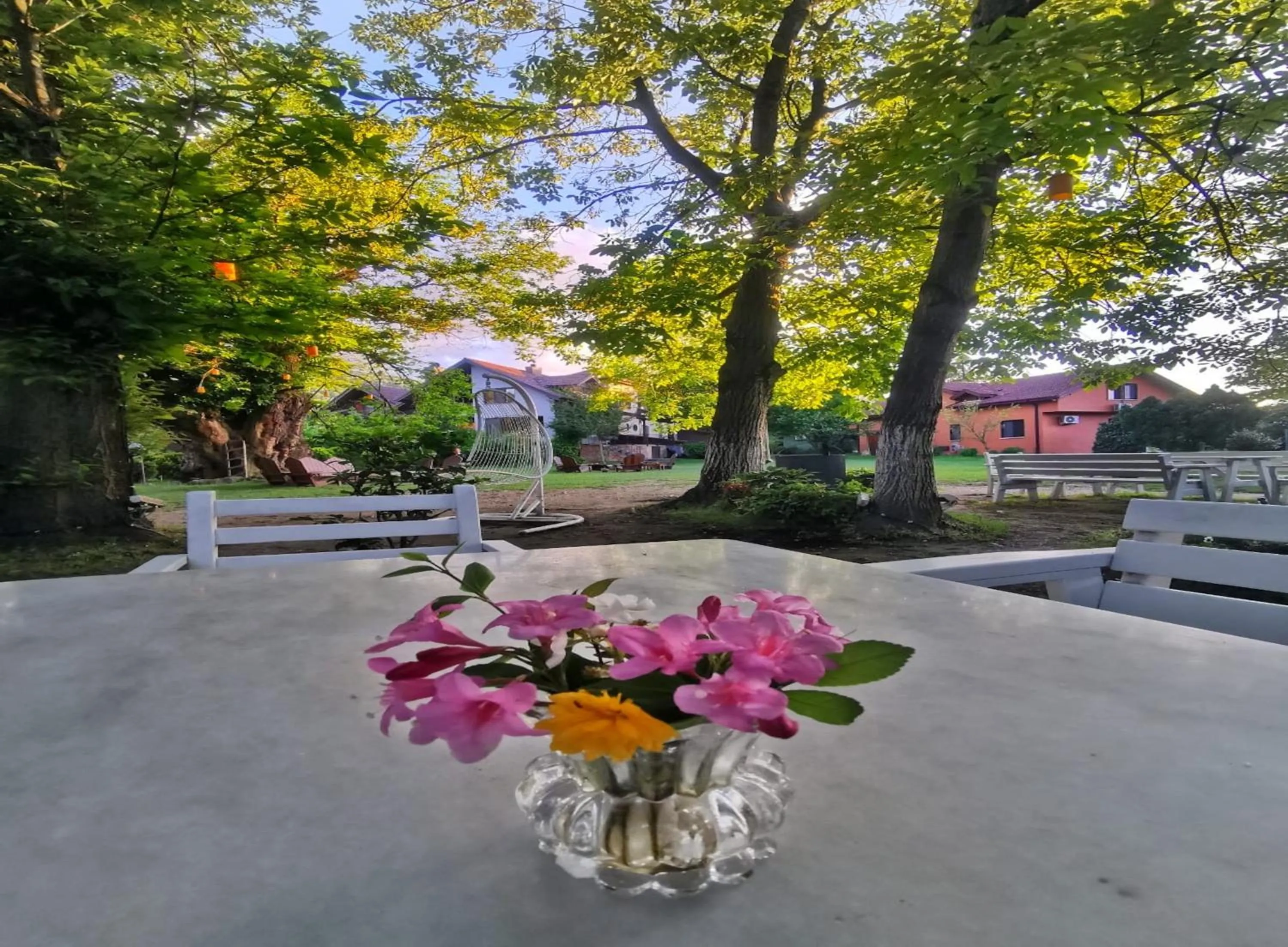 Restaurant/places to eat in Villa Kirkpinar Sapanca