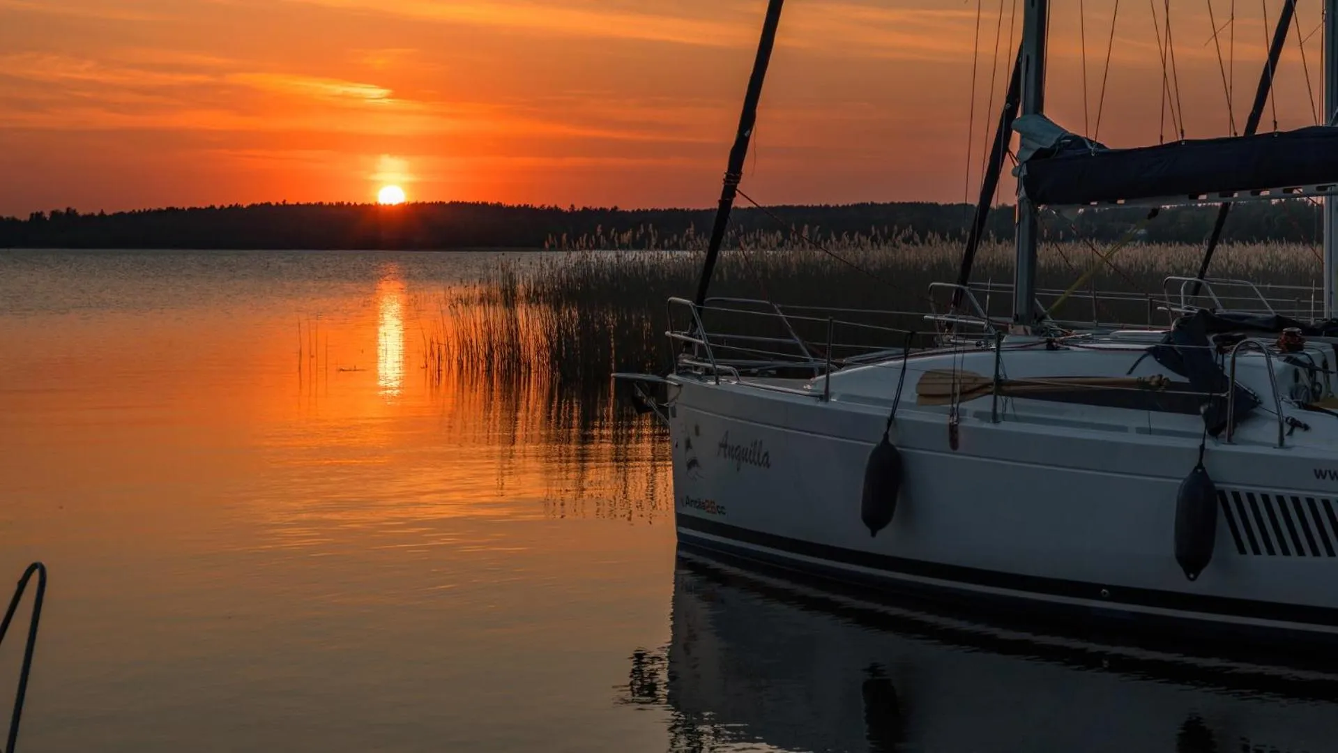 Natural landscape in Hotel Ognisty Ptak