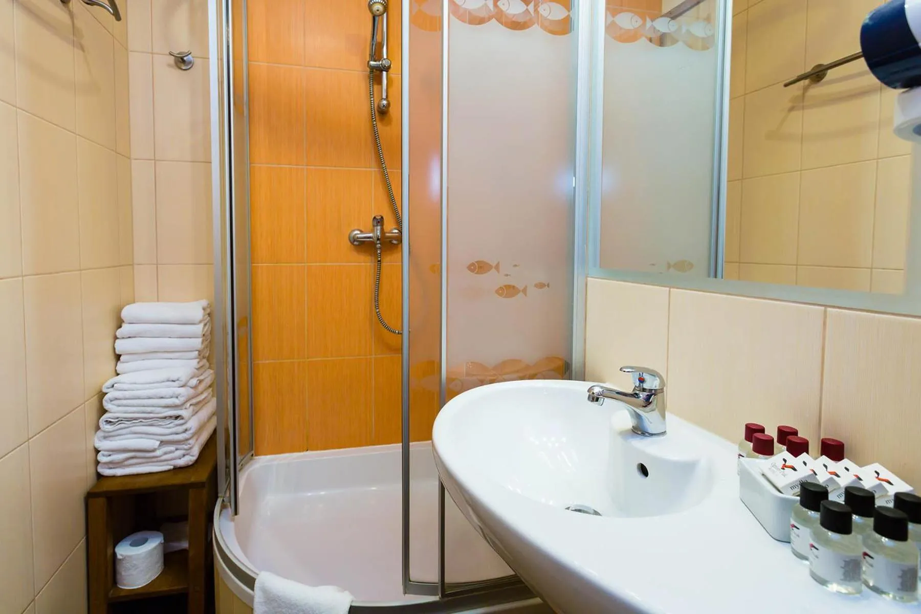 Shower in Hotel Ognisty Ptak