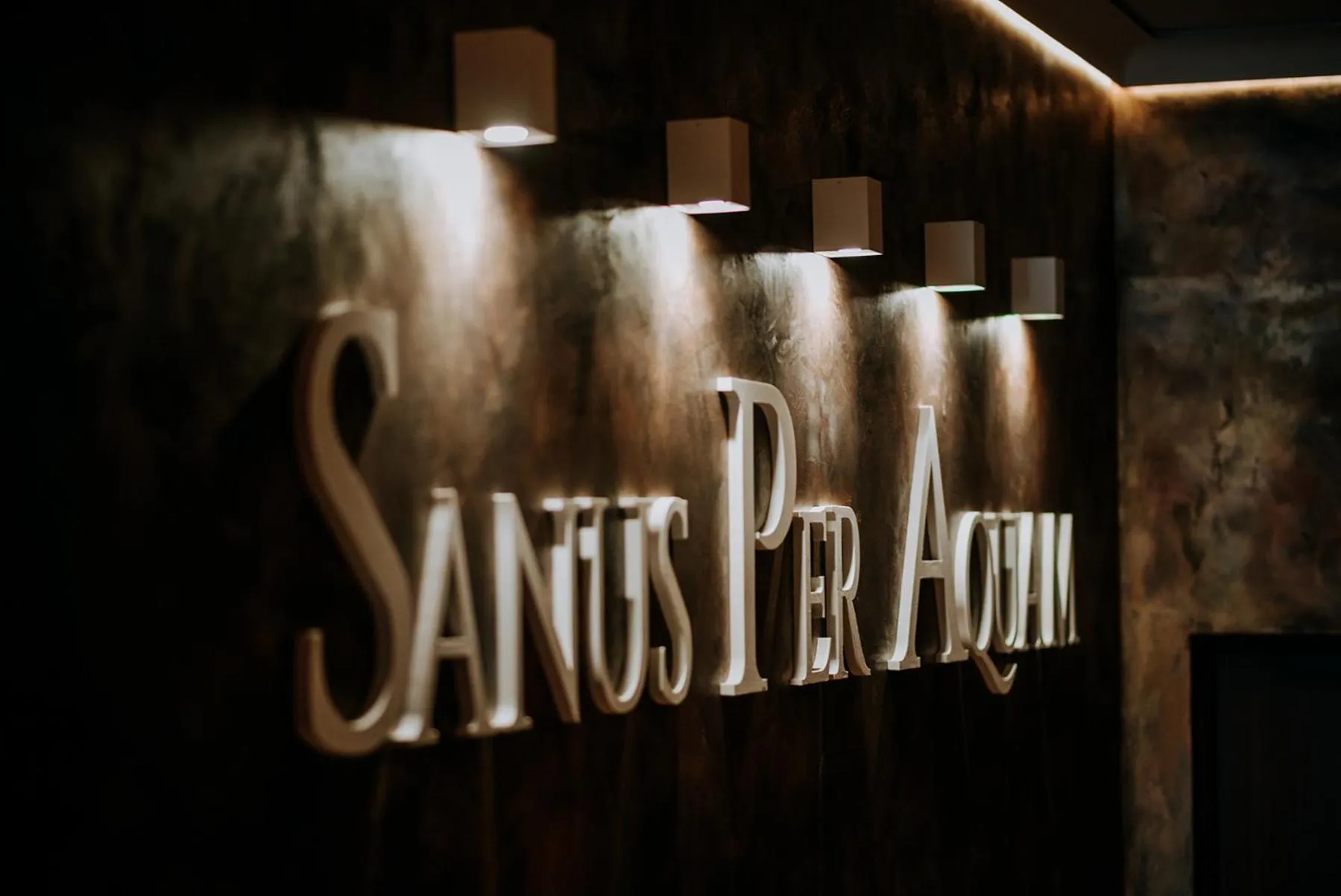 Spa and wellness centre/facilities in Hotel Ognisty Ptak