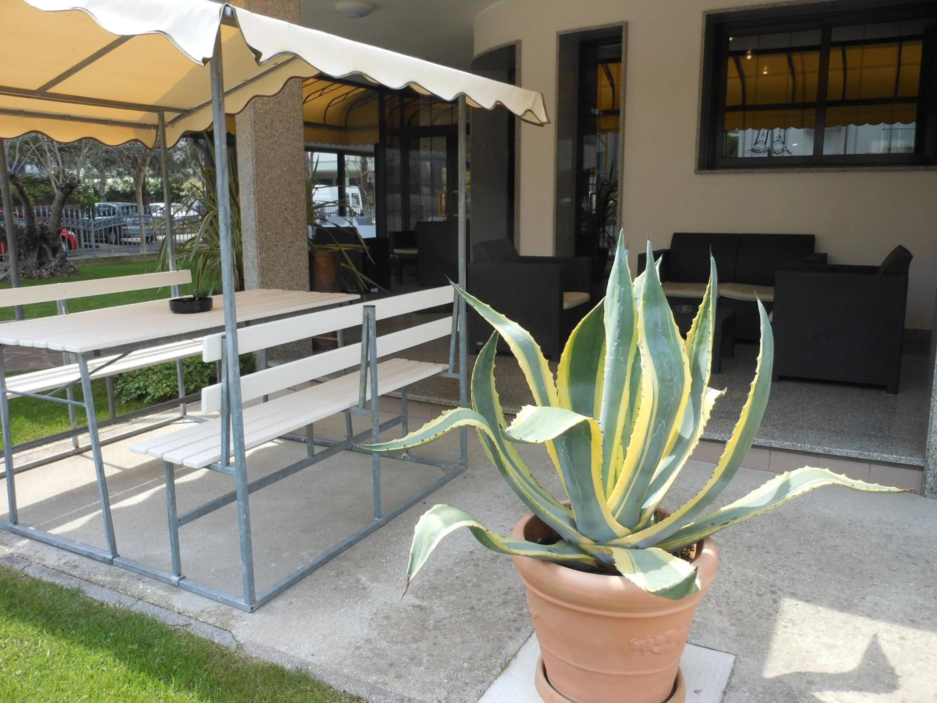 Garden in Hotel Jesolo Sand