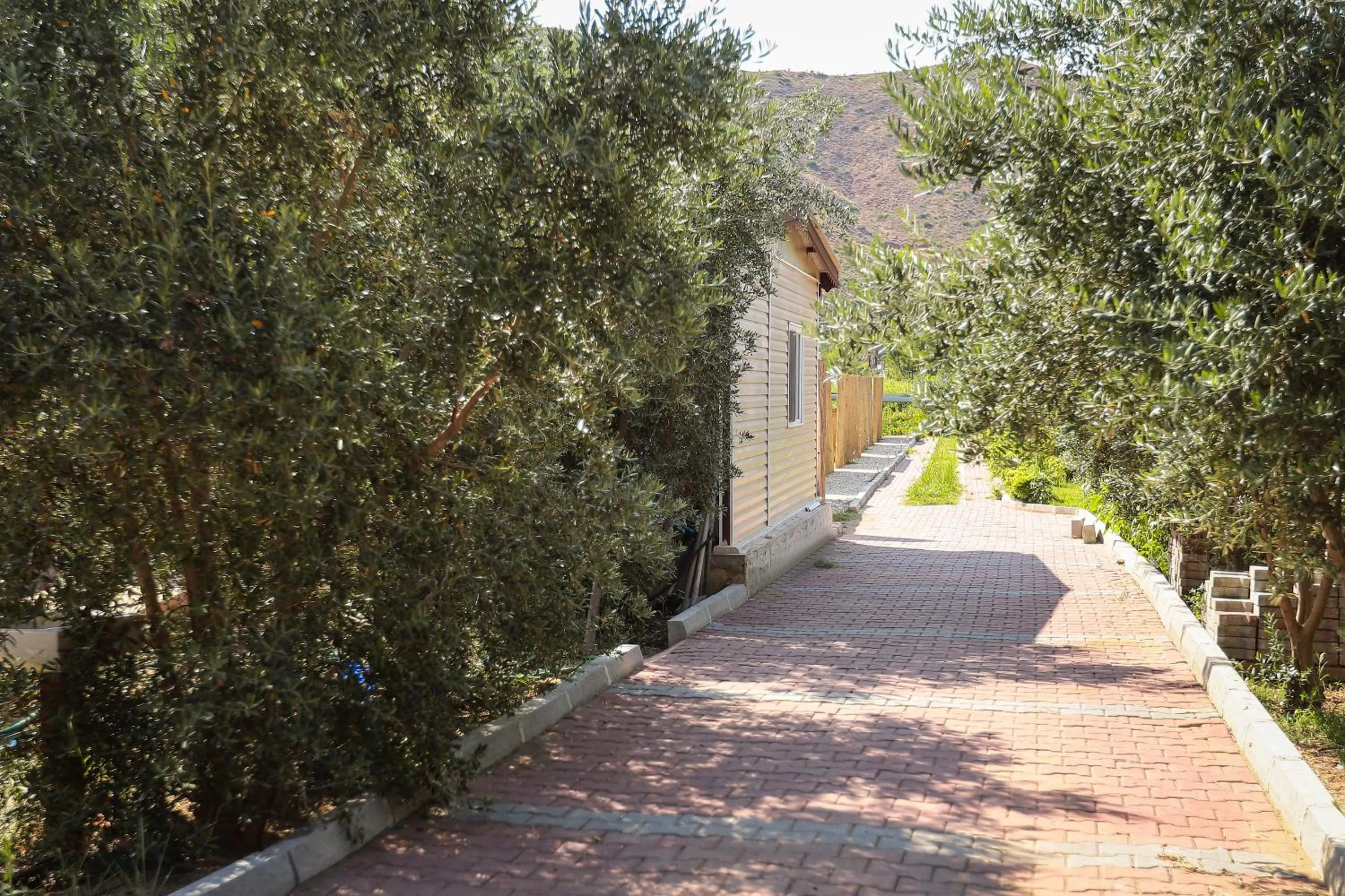 Facade/entrance in Linaden Apart