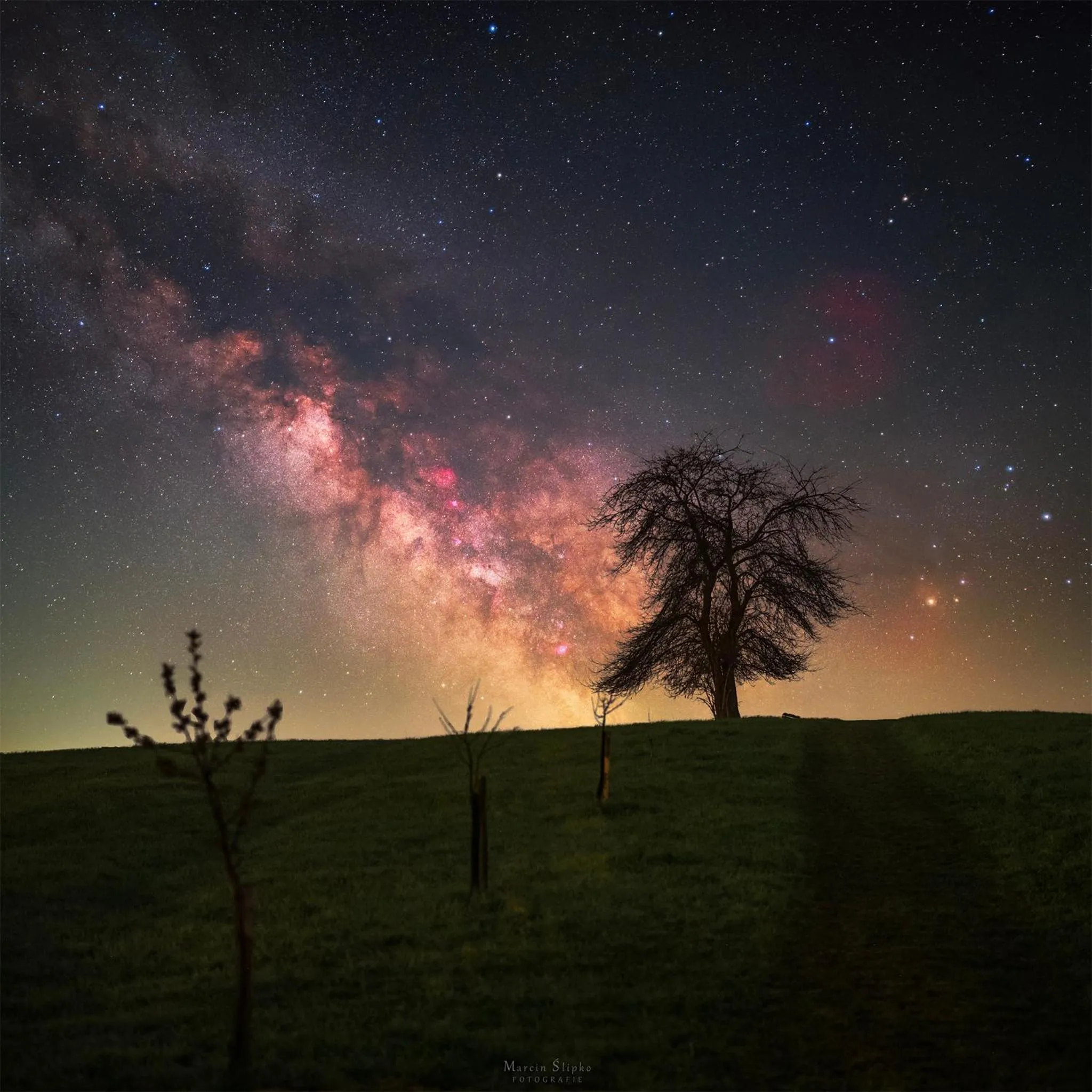 Night in Villa Greta