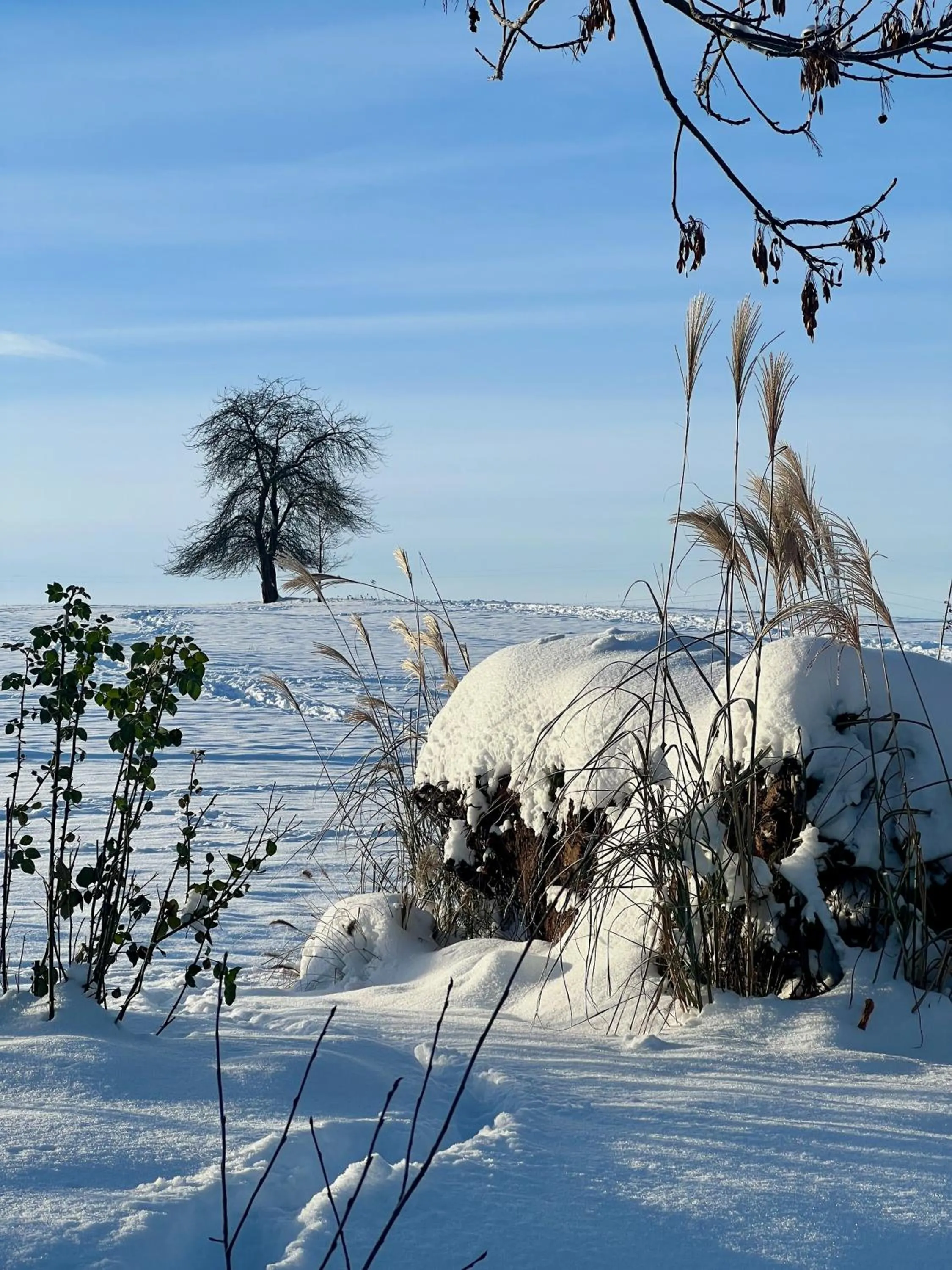 Other in Villa Greta