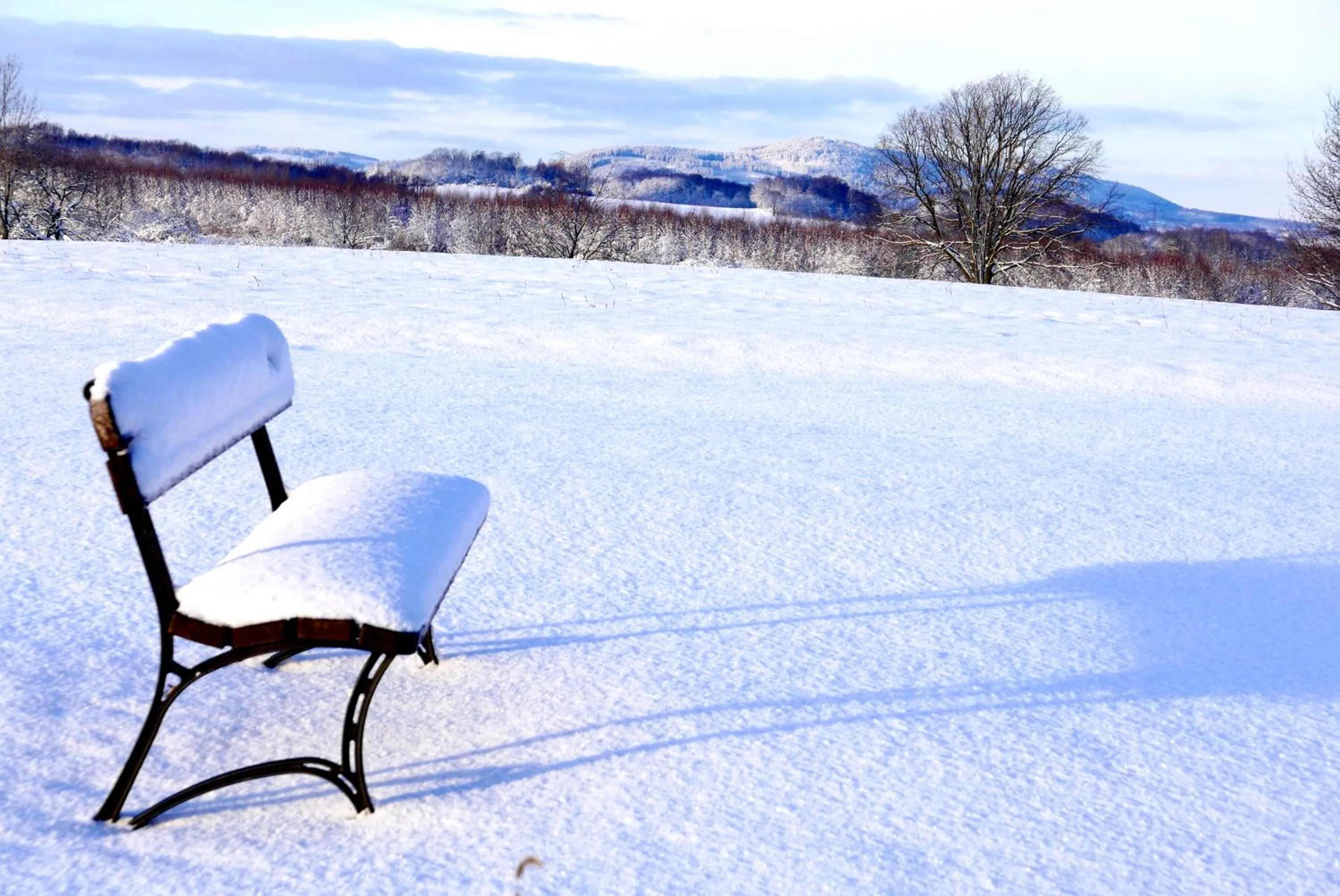 Winter in Villa Greta