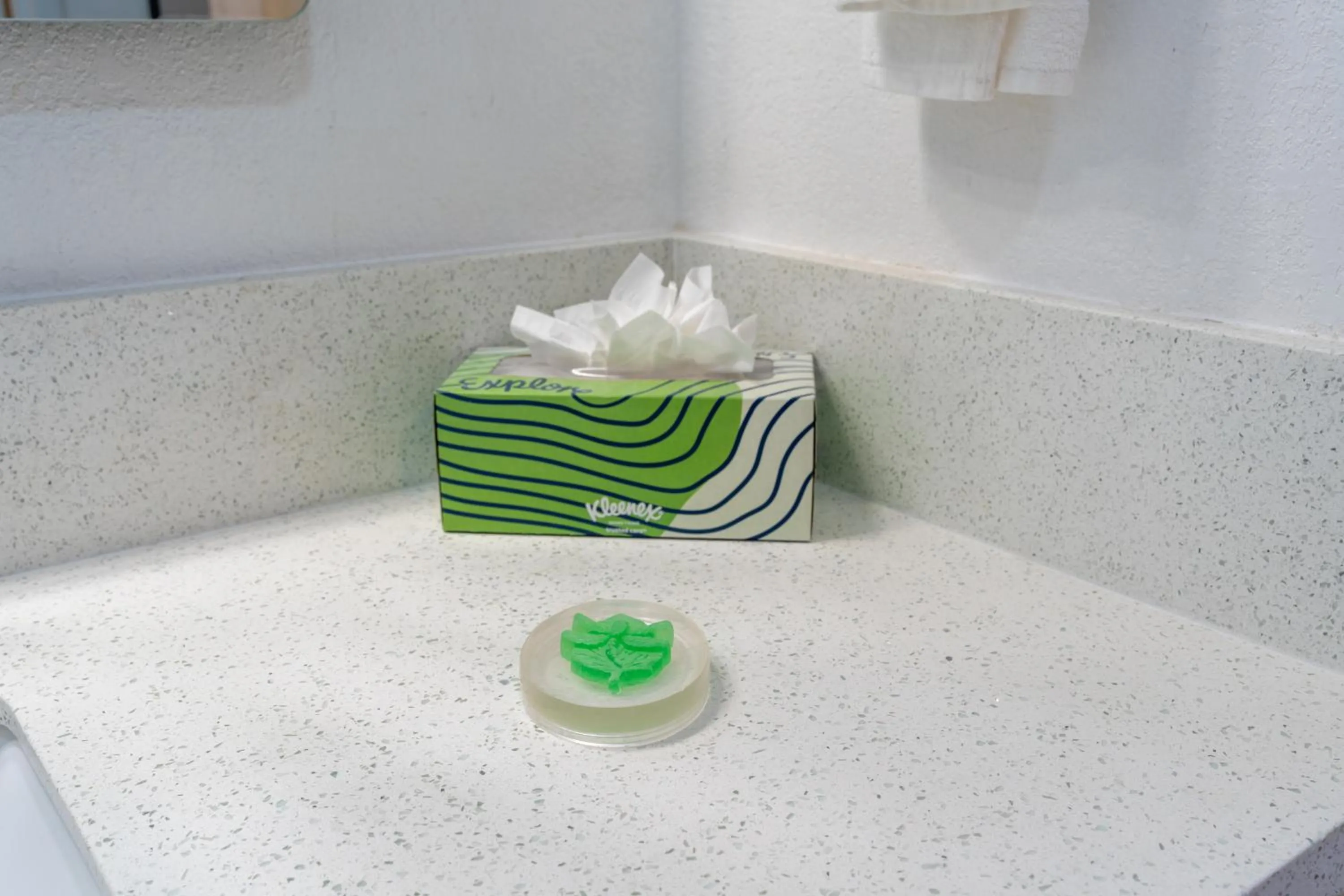 towels in Dragonfly Inn & Suites