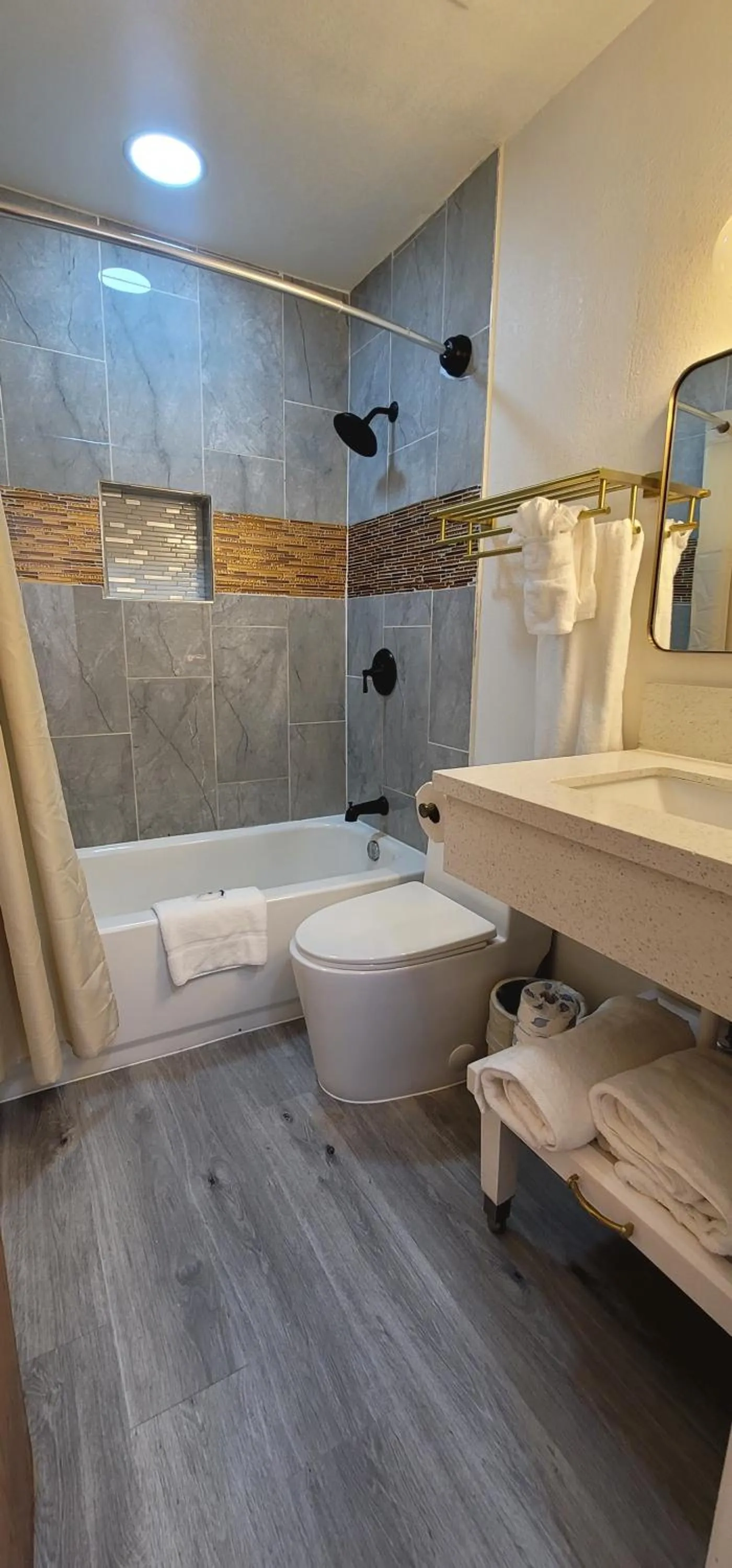 Shower in Dragonfly Inn & Suites