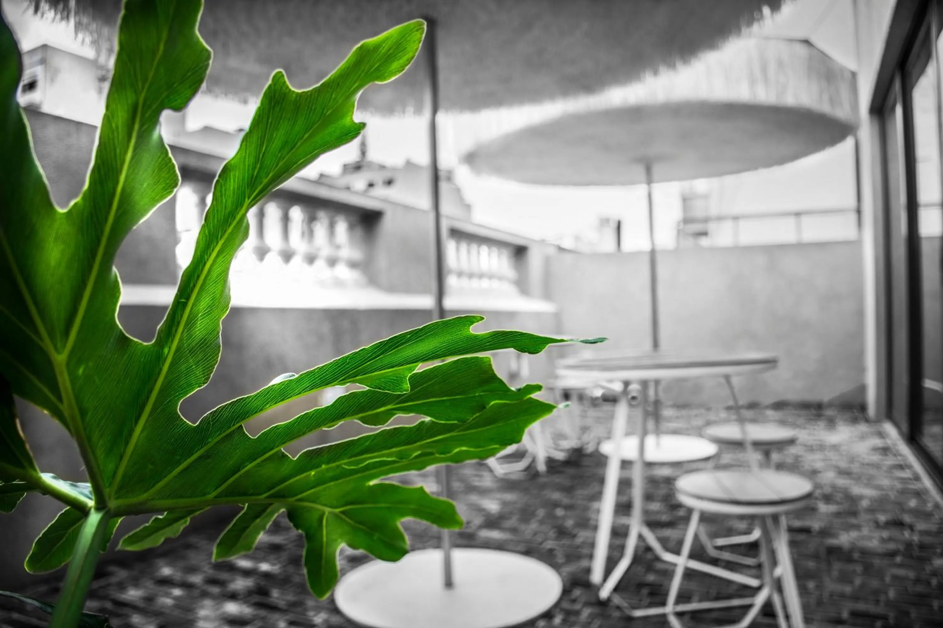 Balcony/Terrace in Marcel de Buenos Aires