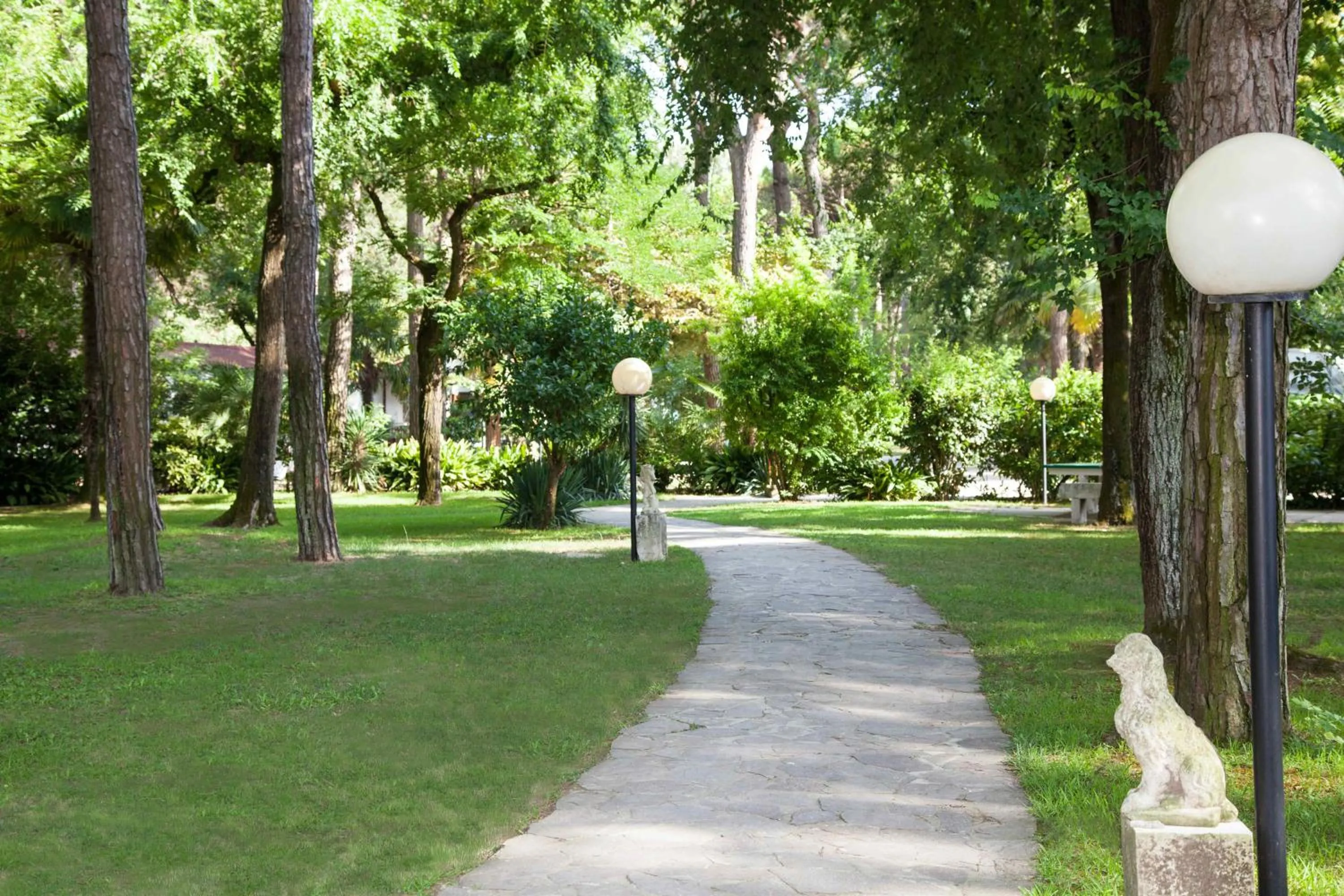Garden in Hotel Valdor