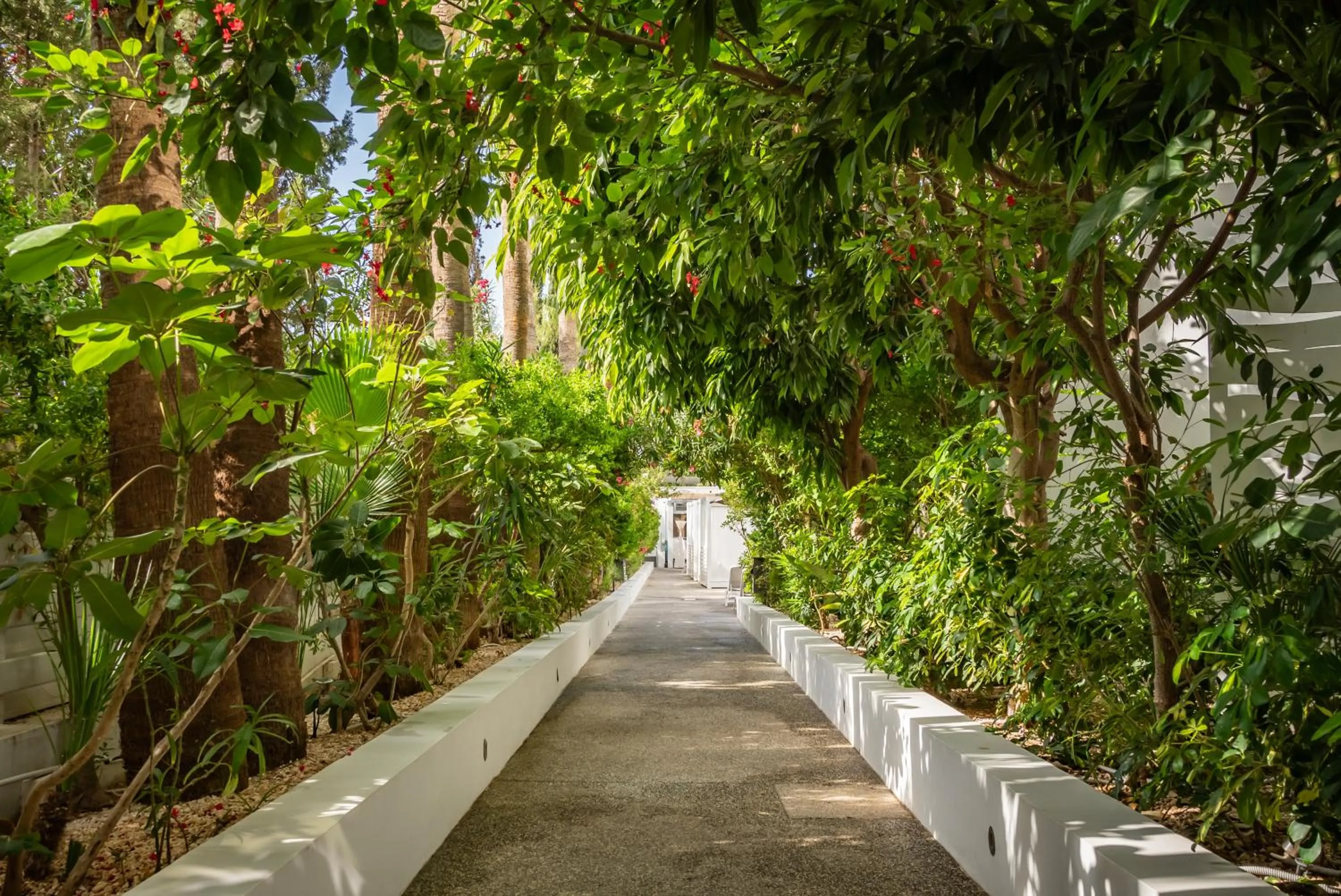 Natural landscape in MARGADINA HOTEL
