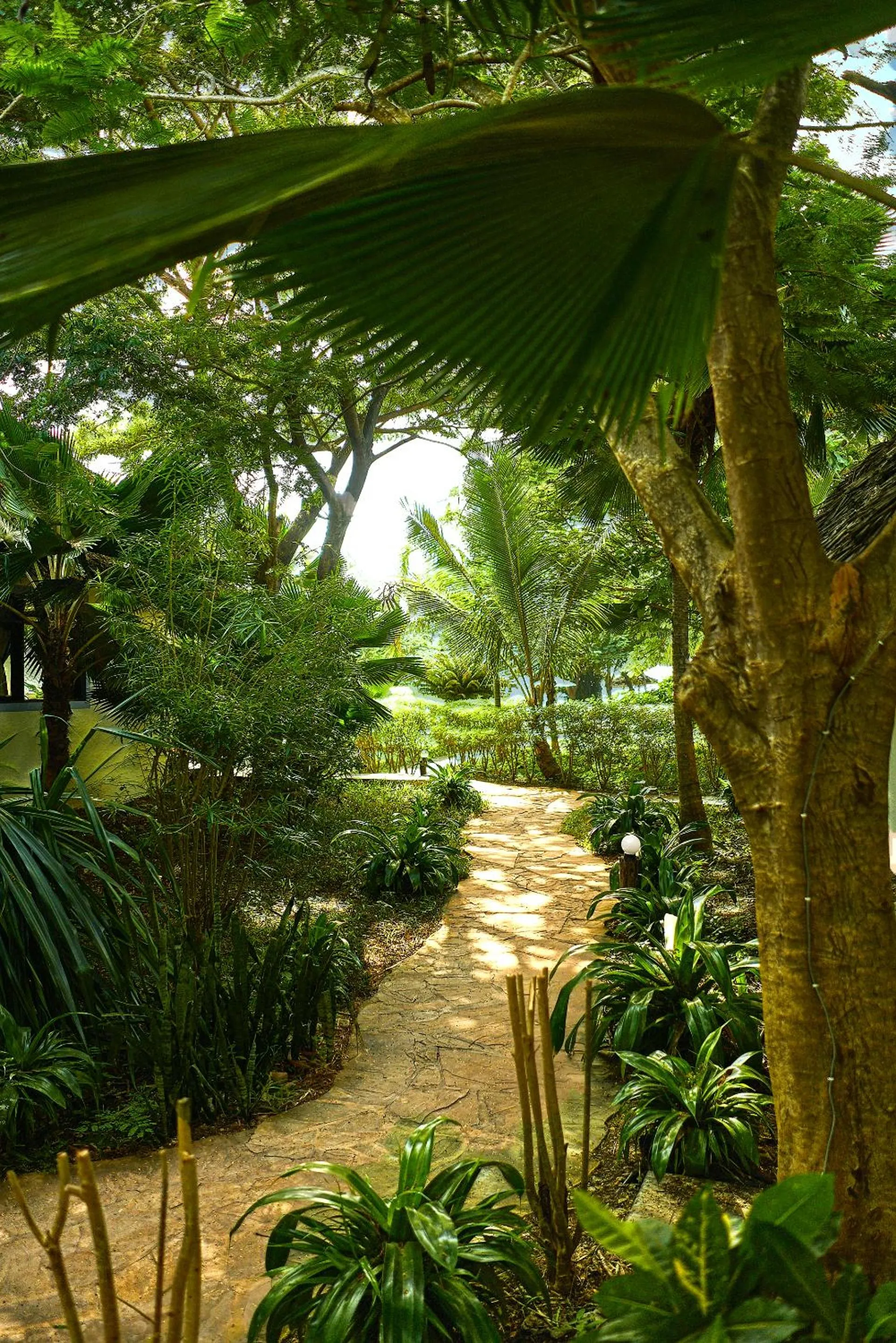 Garden in Spice Island Hotel & Resort