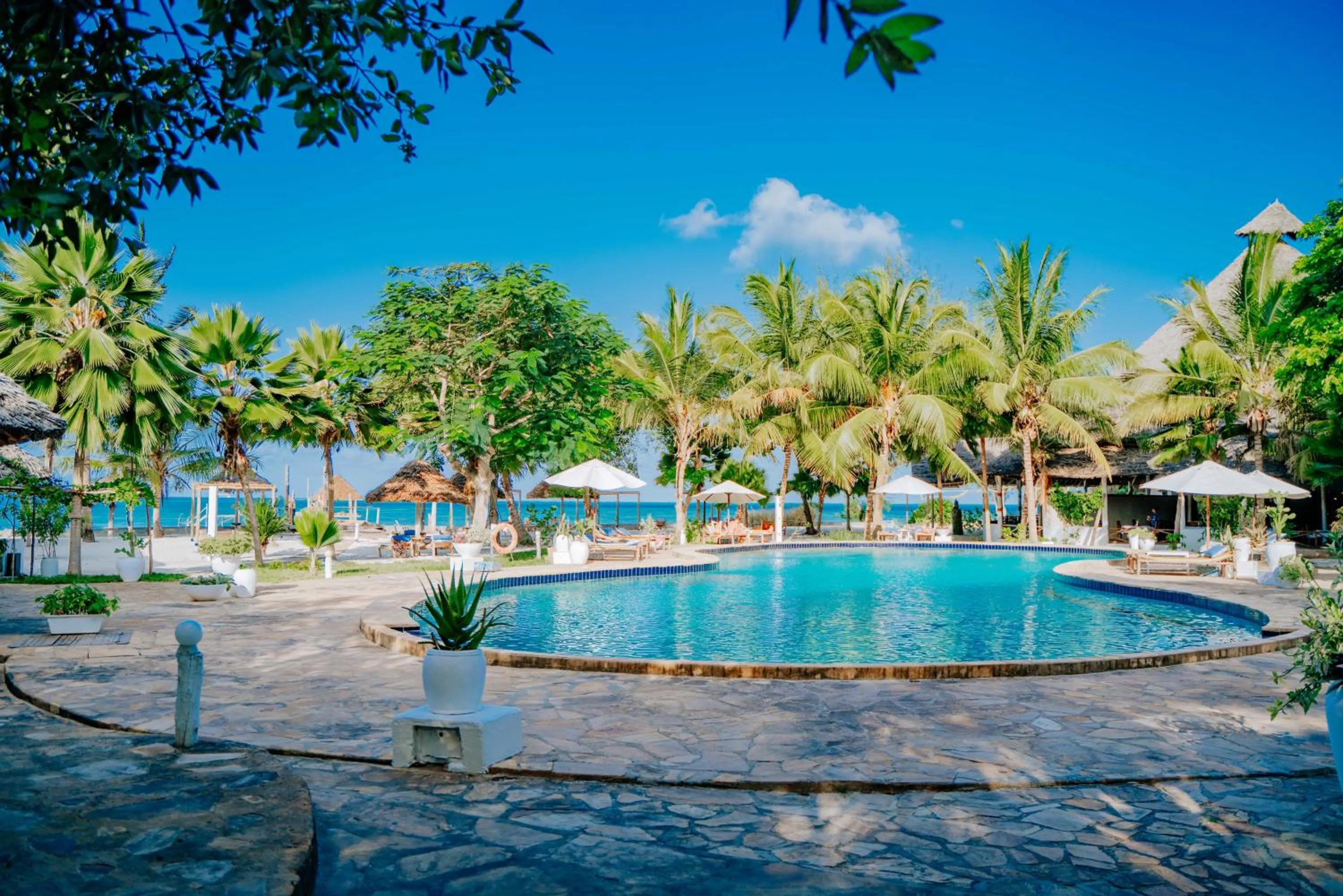 Swimming pool in Spice Island Hotel & Resort