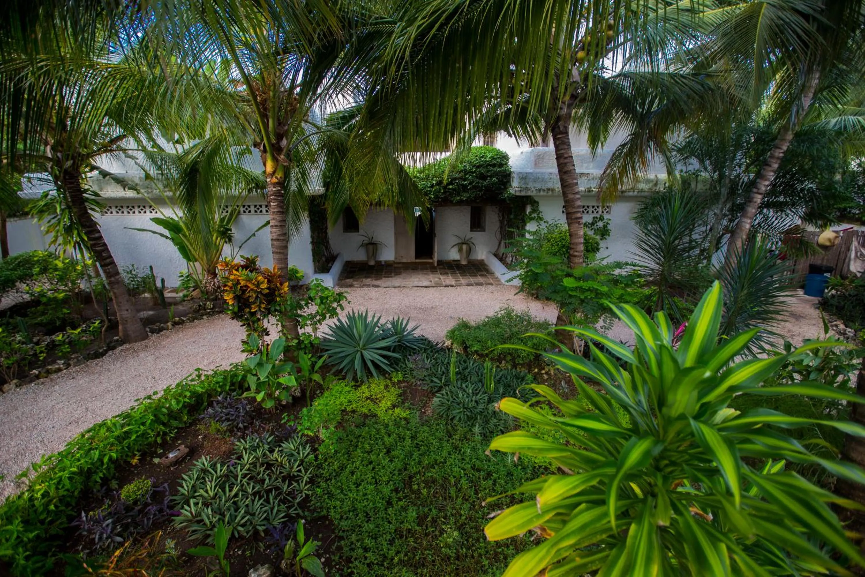 Garden in Uzuri Boutique Hotel