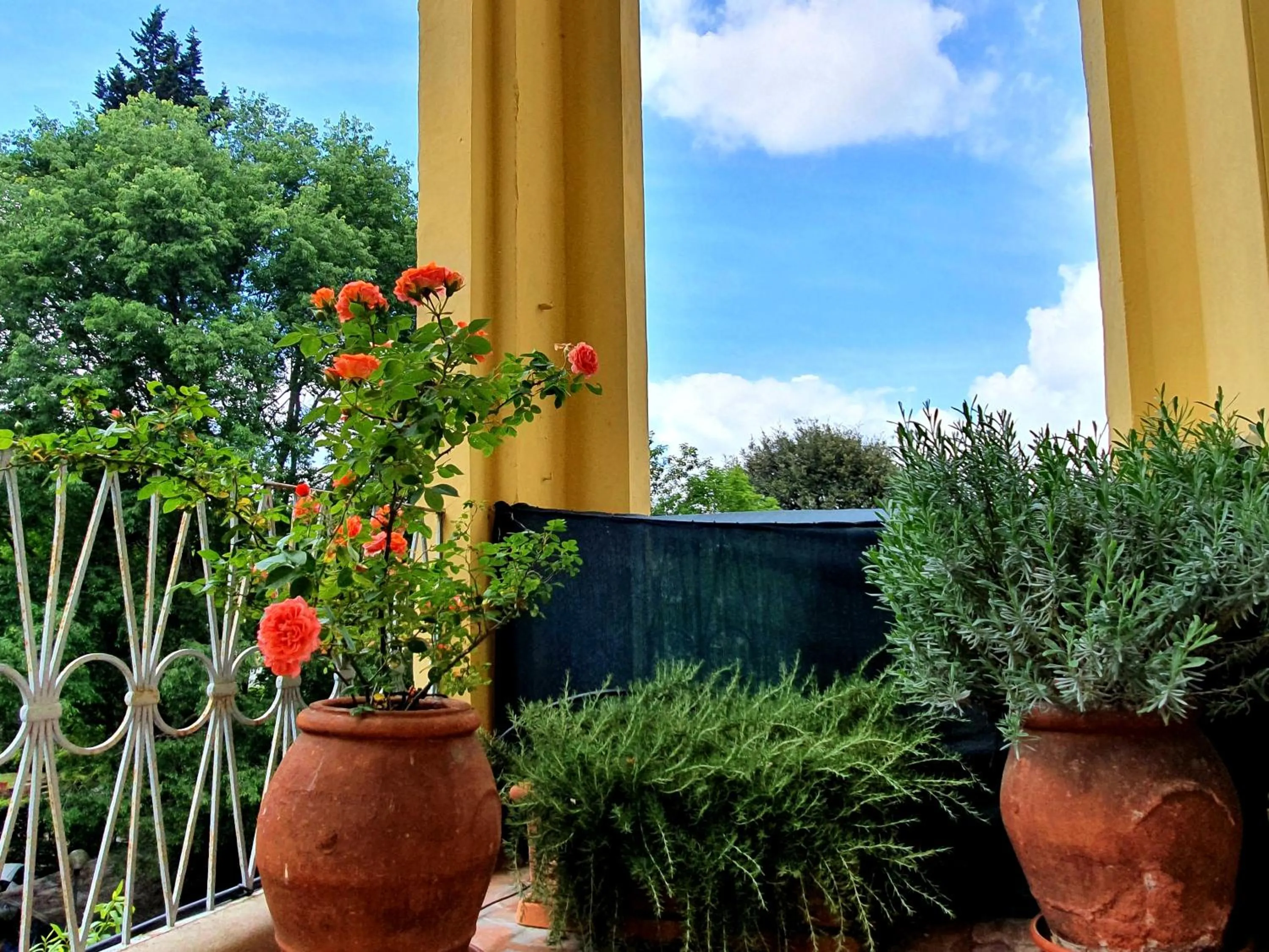 Garden in Hotel Annalena