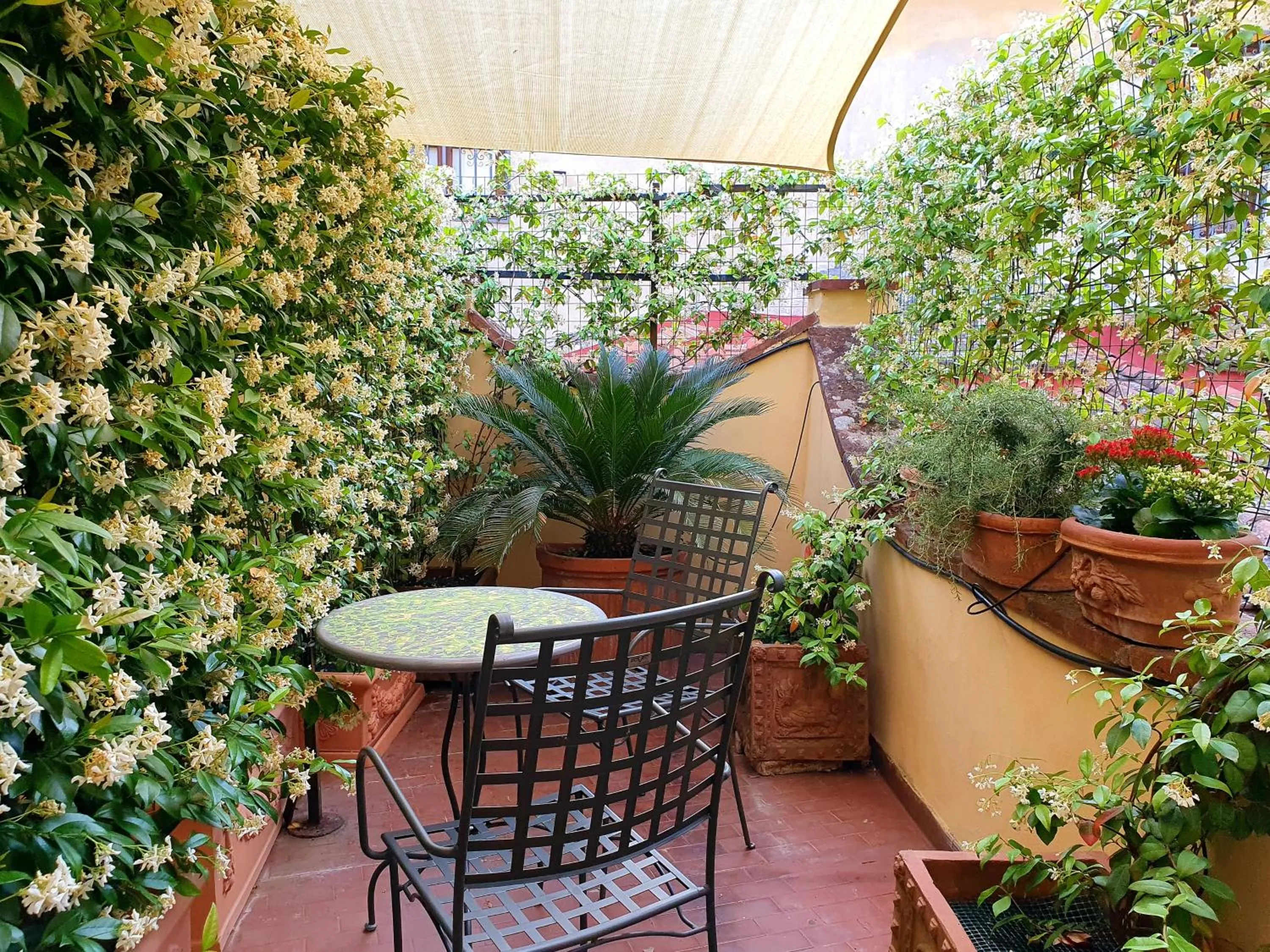 Patio in Hotel Annalena