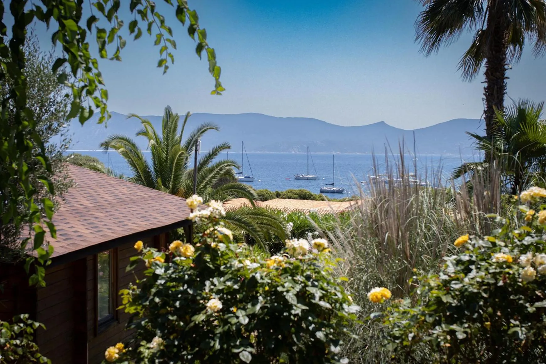 Patio in Mare E Monti