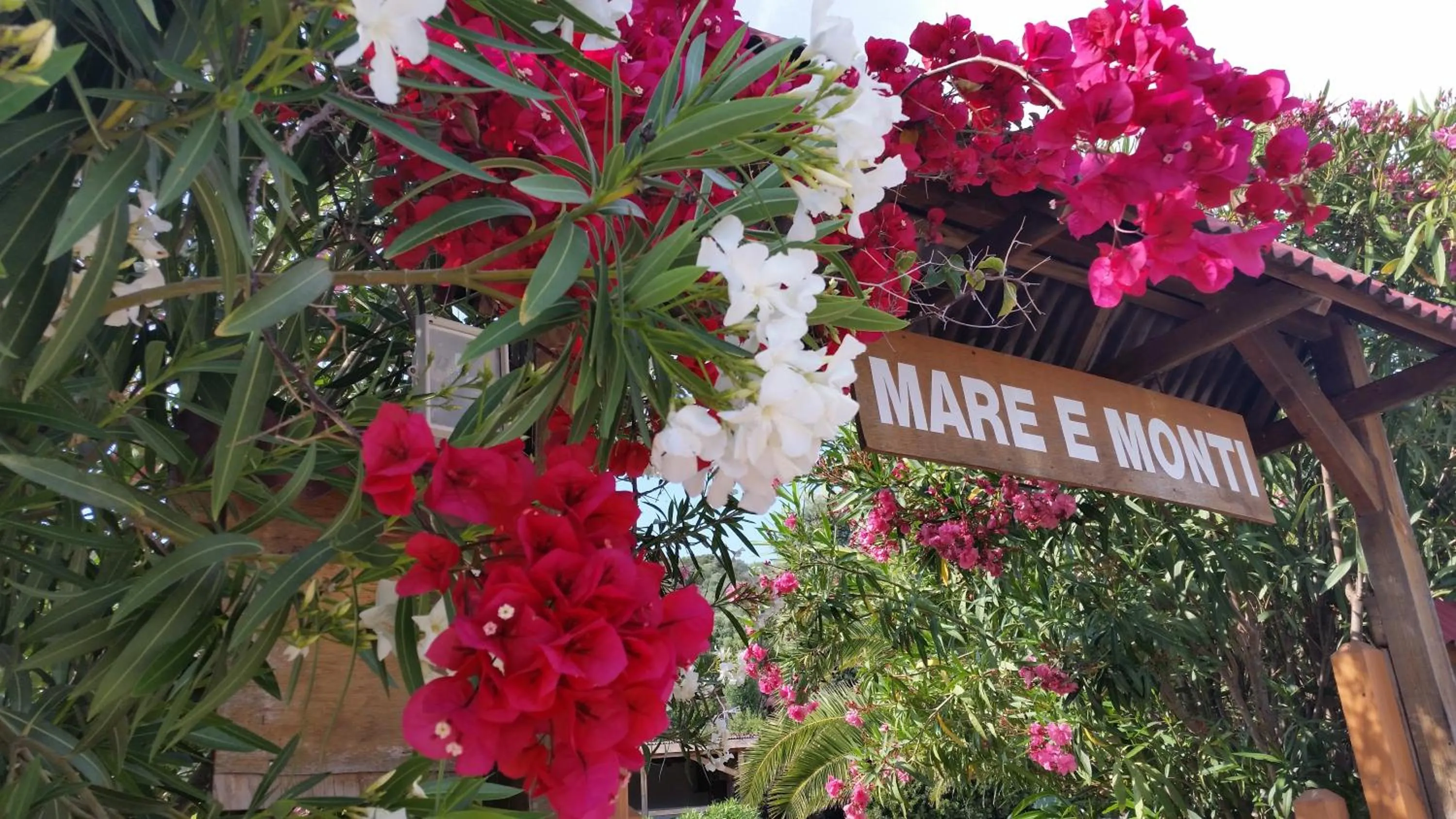 Property logo or sign in Mare E Monti