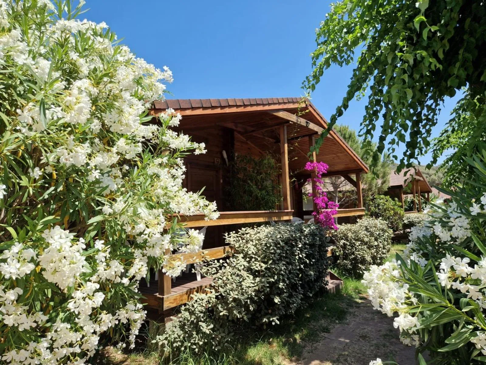 Patio in Mare E Monti
