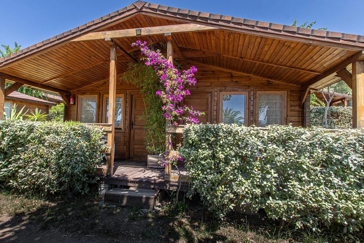 Balcony/Terrace in Mare E Monti