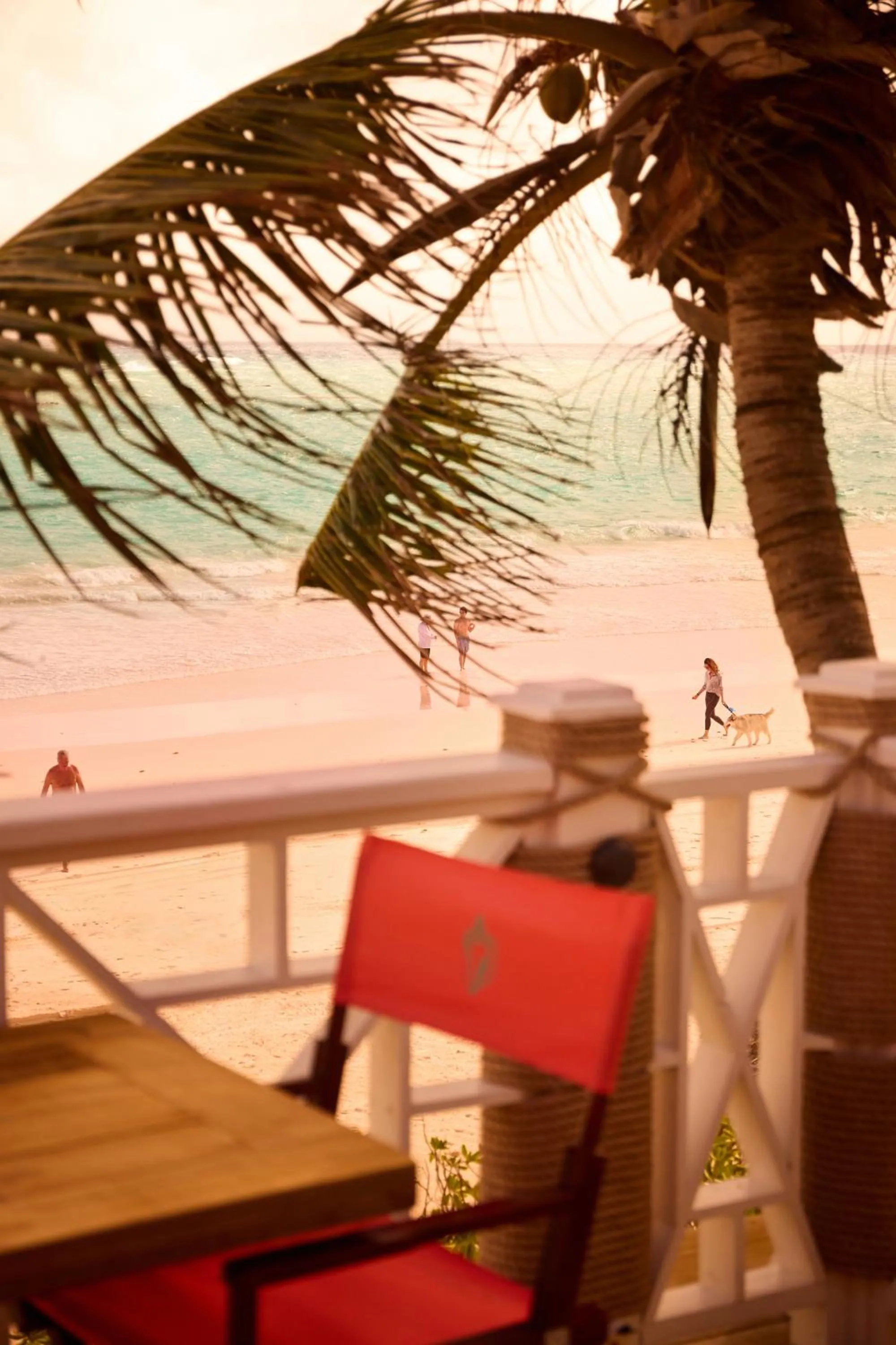 Beach in Coral Sands Inn & Cottages