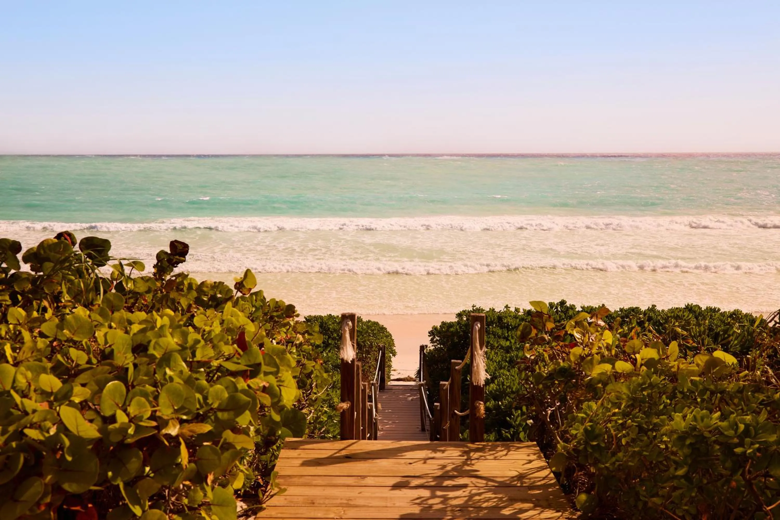 Natural landscape in Coral Sands Inn & Cottages