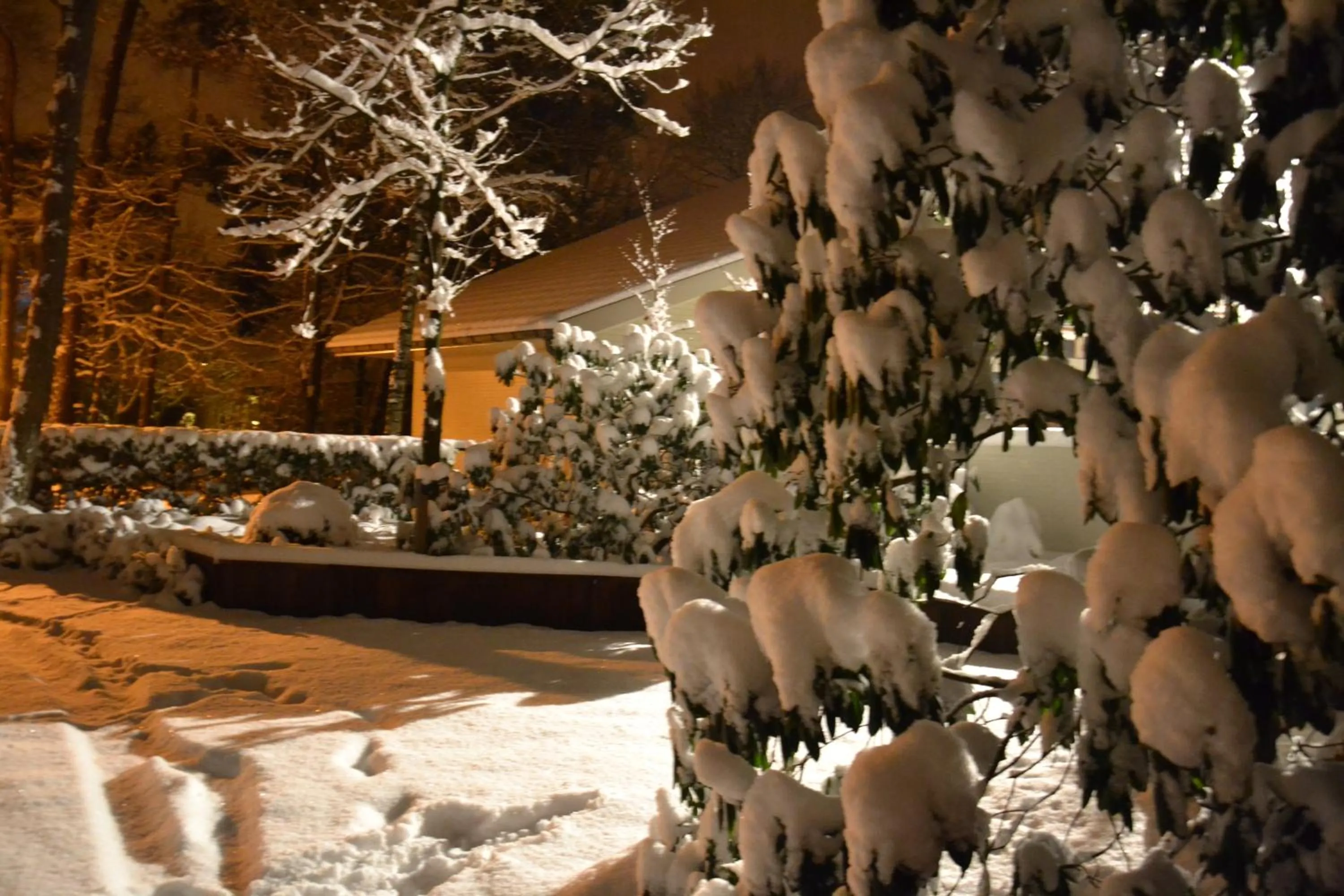 Winter in B&B Wepa-hof