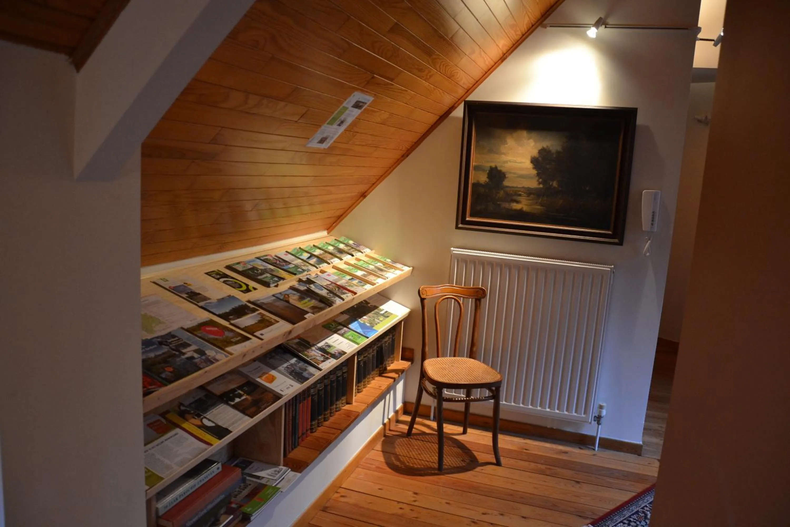 Library in B&B Wepa-hof