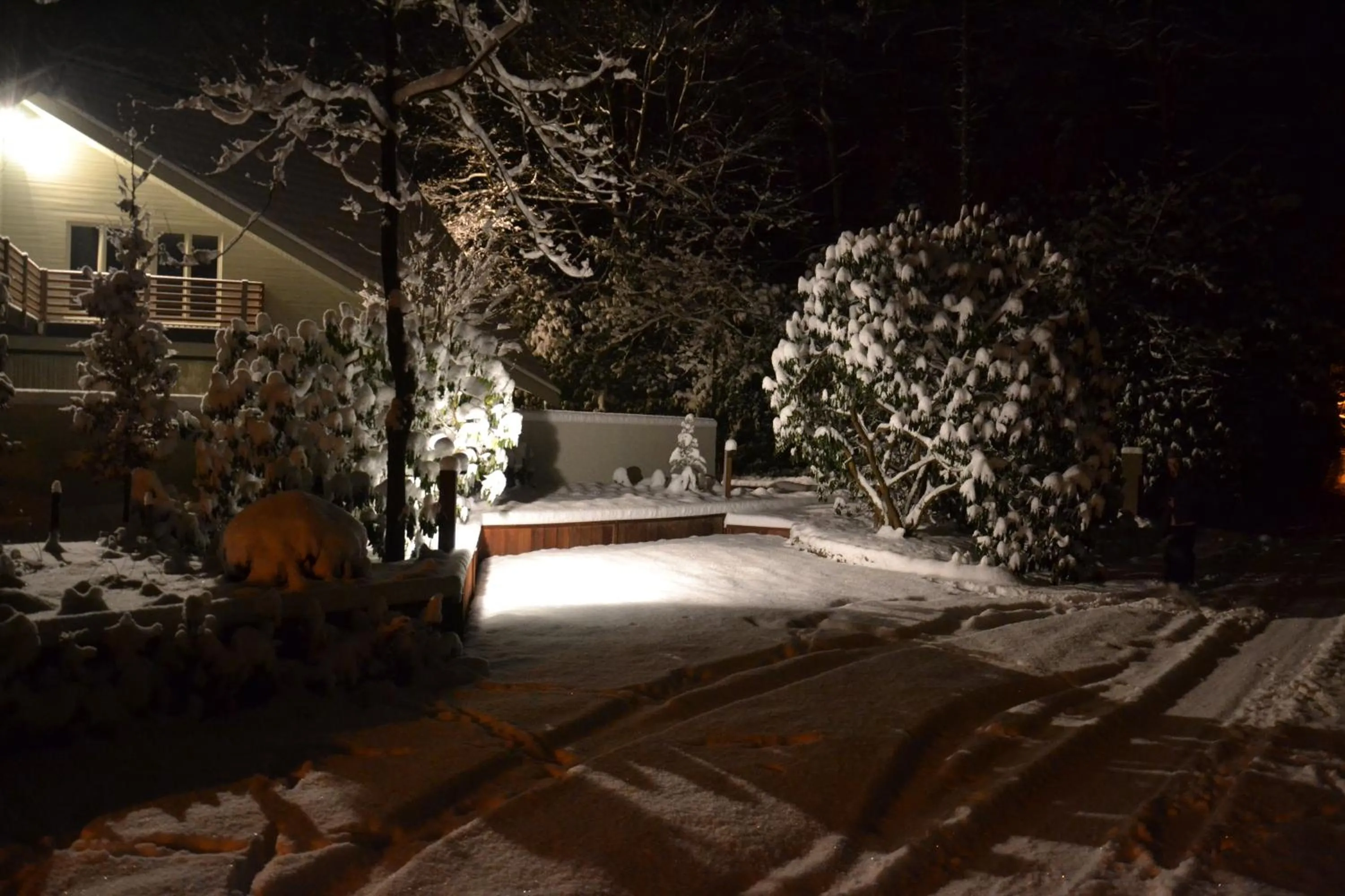 Winter in B&B Wepa-hof