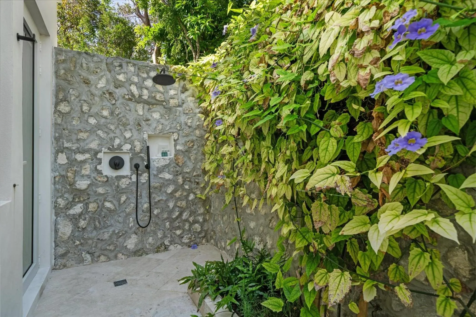 Bathroom in Pink Sands Resort