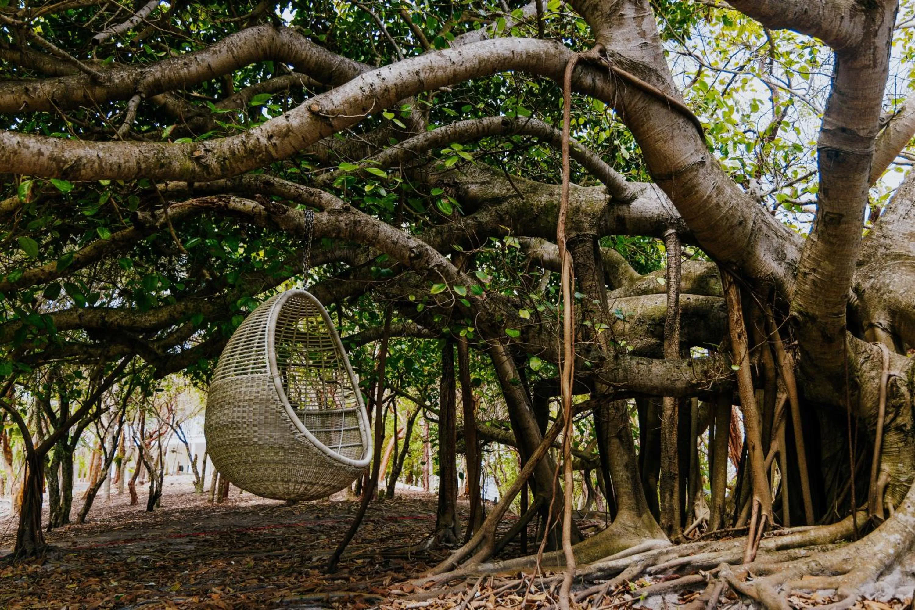 Property building in Pink Sands Resort