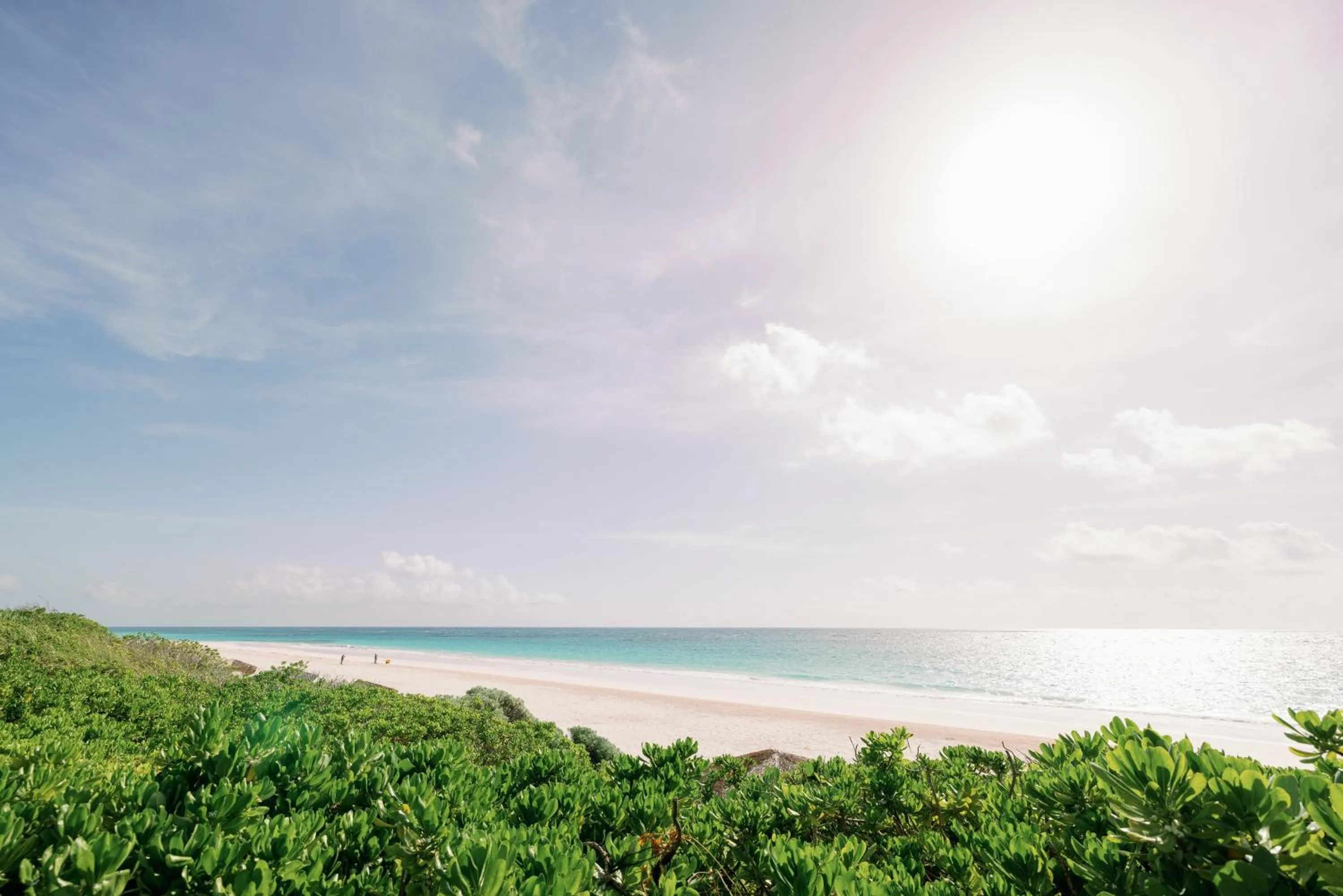 Beach in Pink Sands Resort