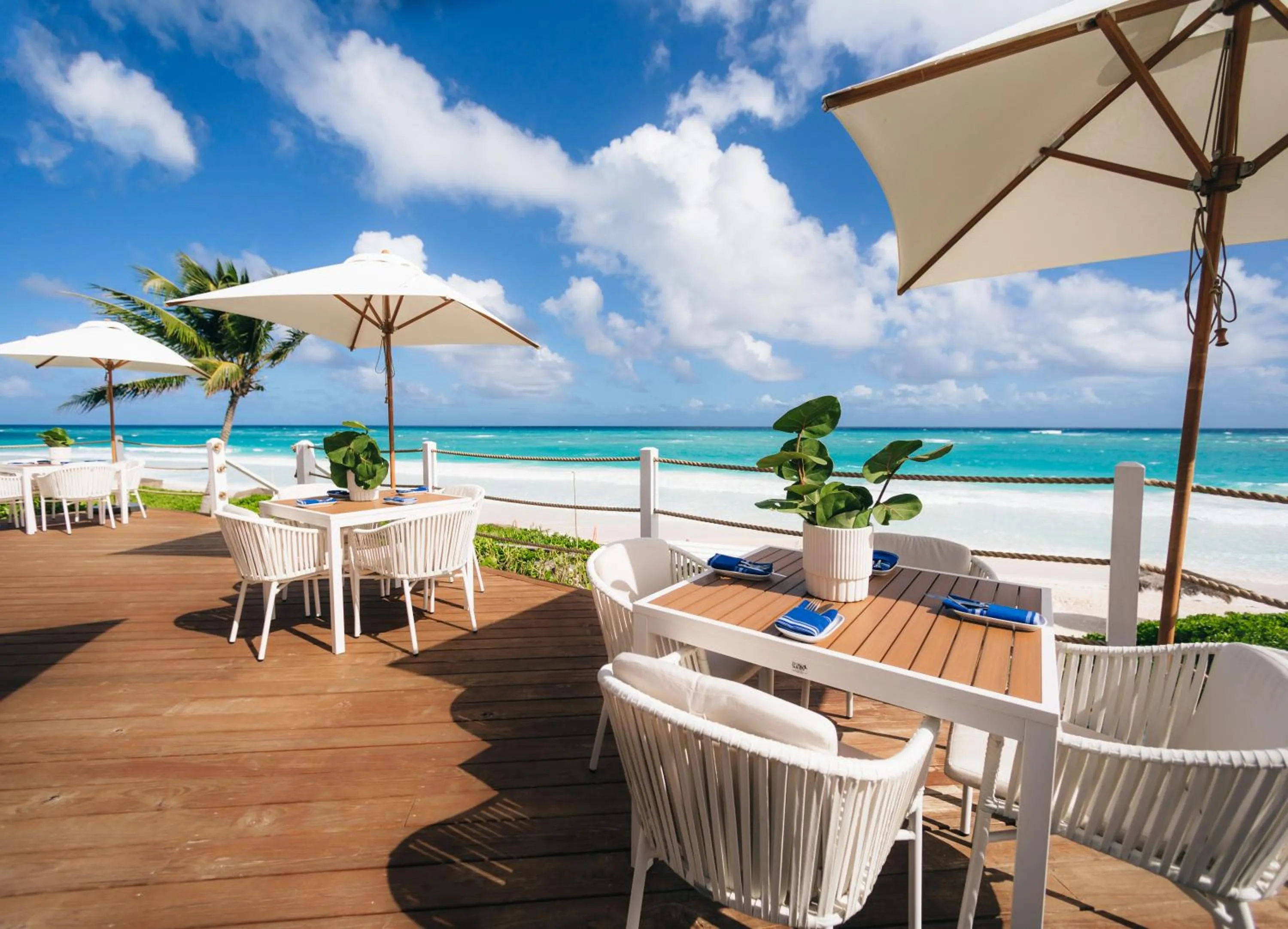 Restaurant/places to eat in Pink Sands Resort