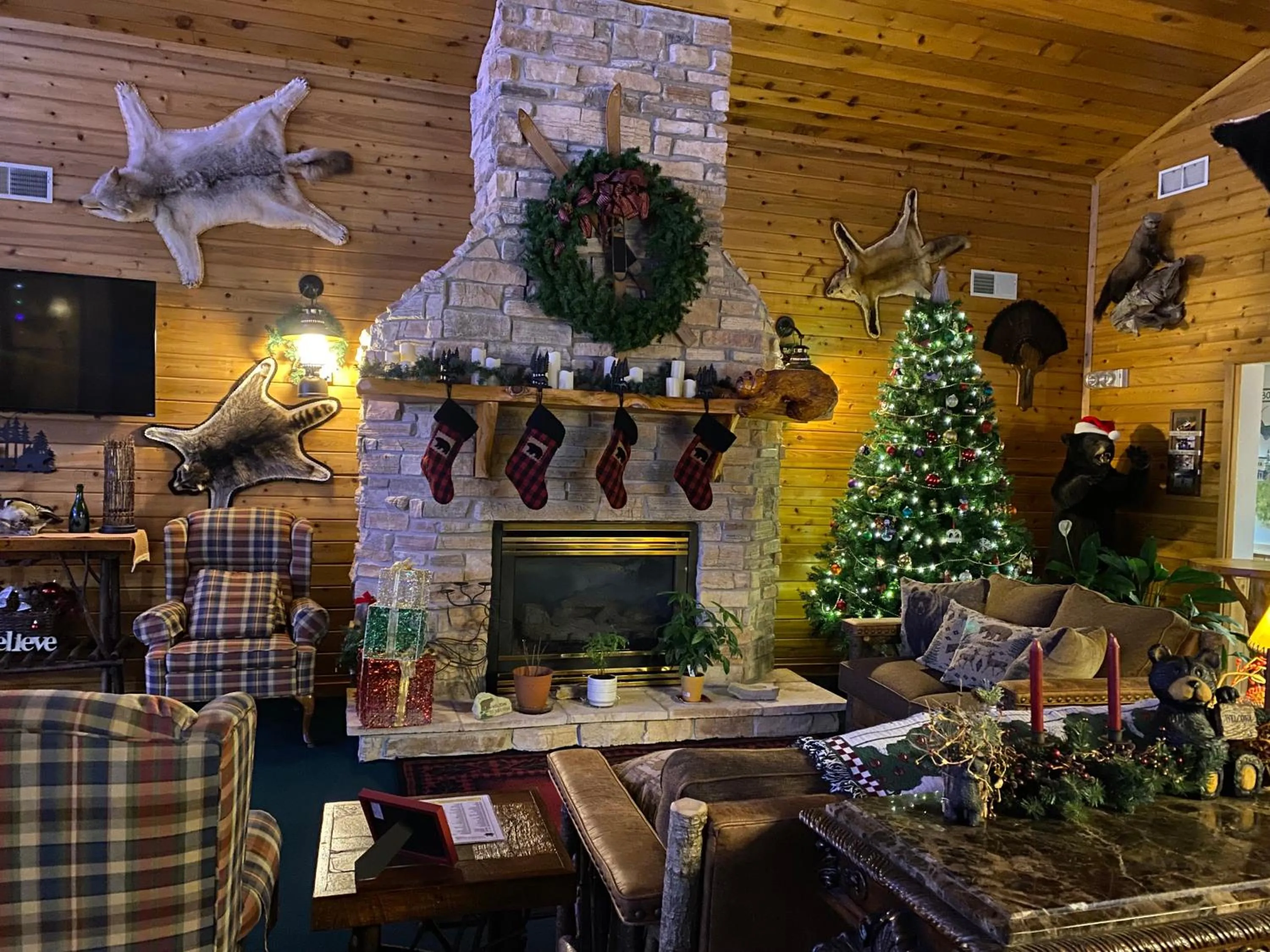 flat iron in Boulder Bear Motor Lodge
