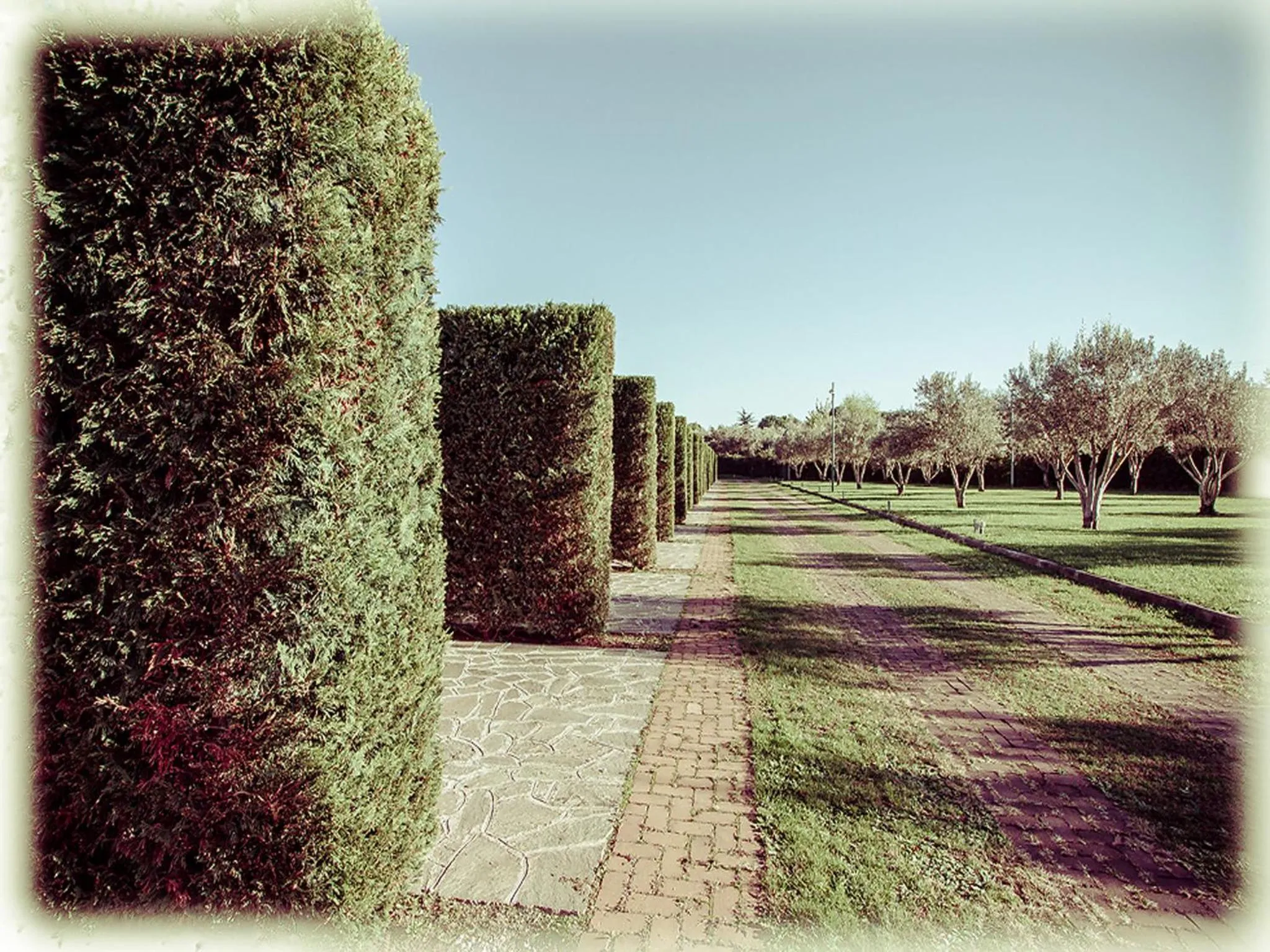 Area and facilities in All Ways Garden Hotel & Leisure