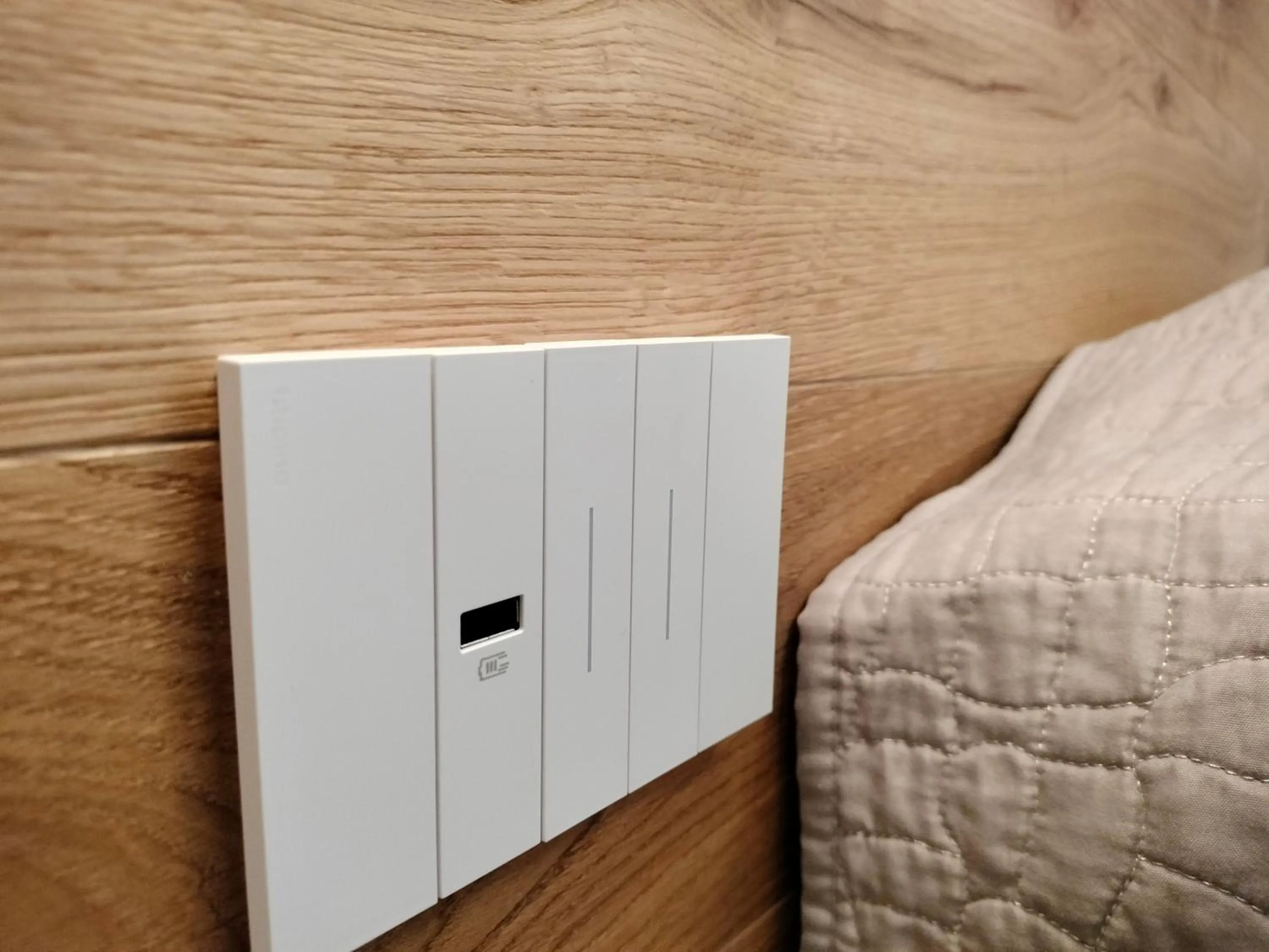 Pets in Hotel Delle Rose