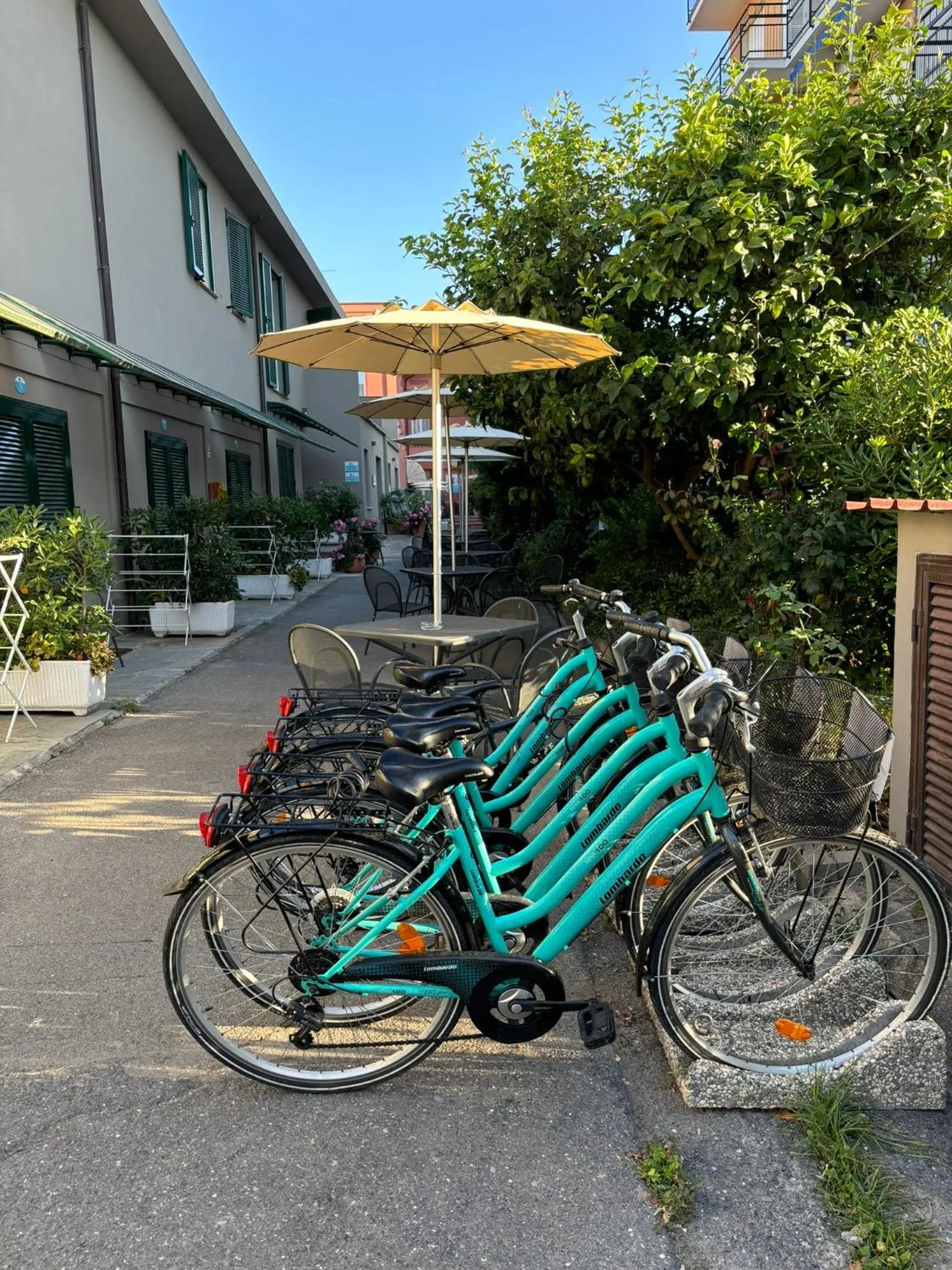 Cycling in Hotel Delle Rose