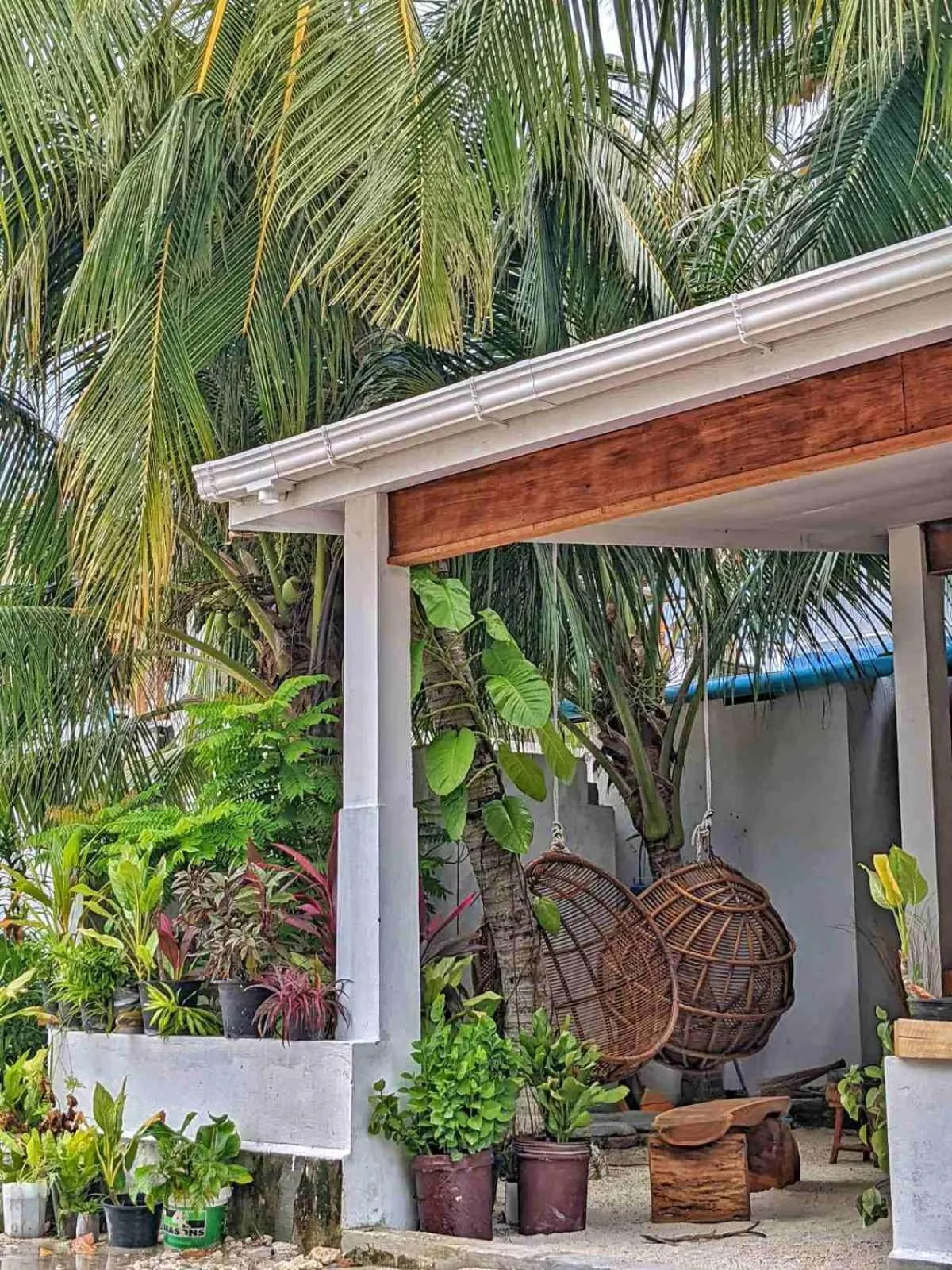 Garden view in Dhoadhi Retreat