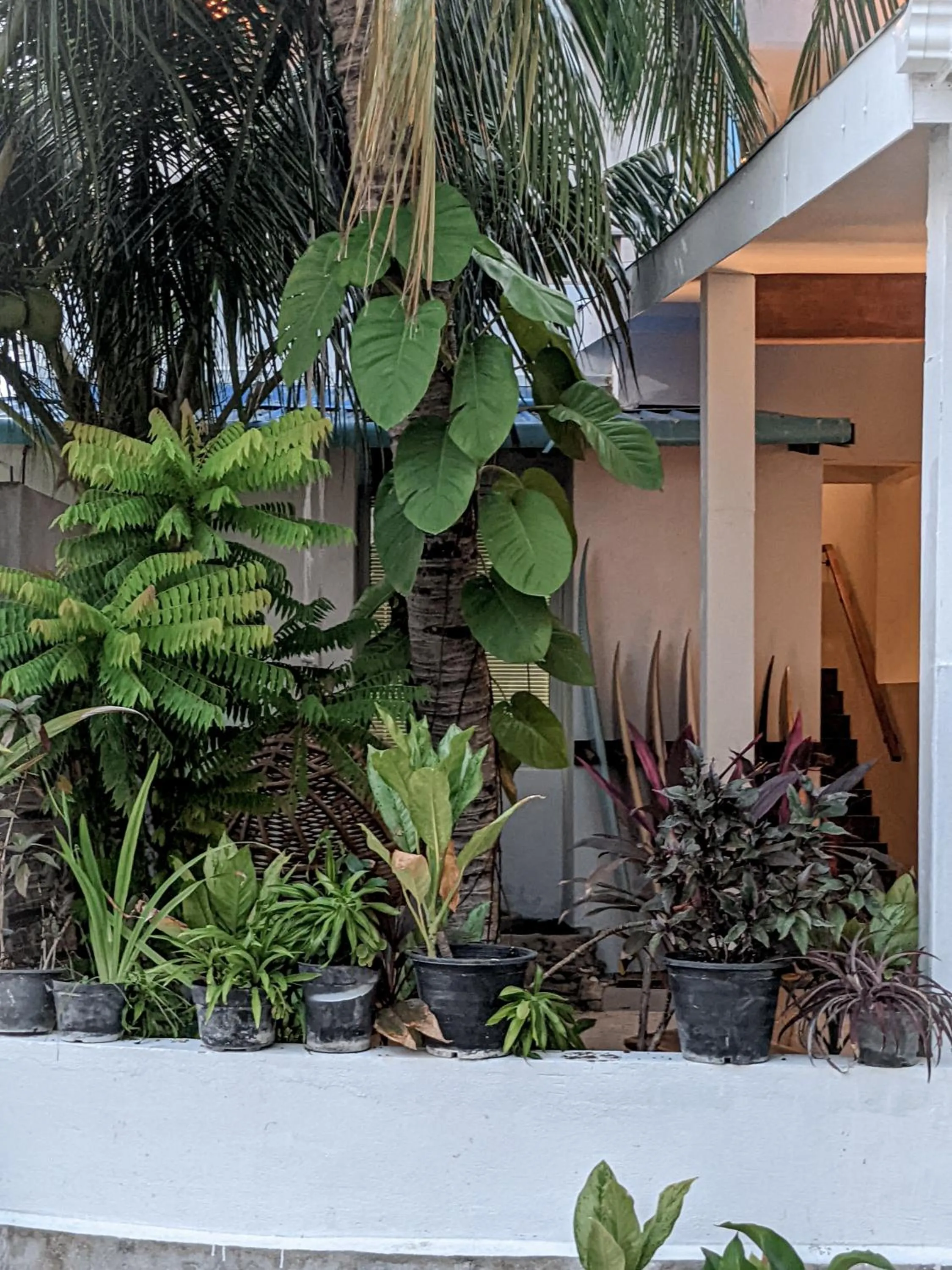 Facade/entrance in Dhoadhi Retreat