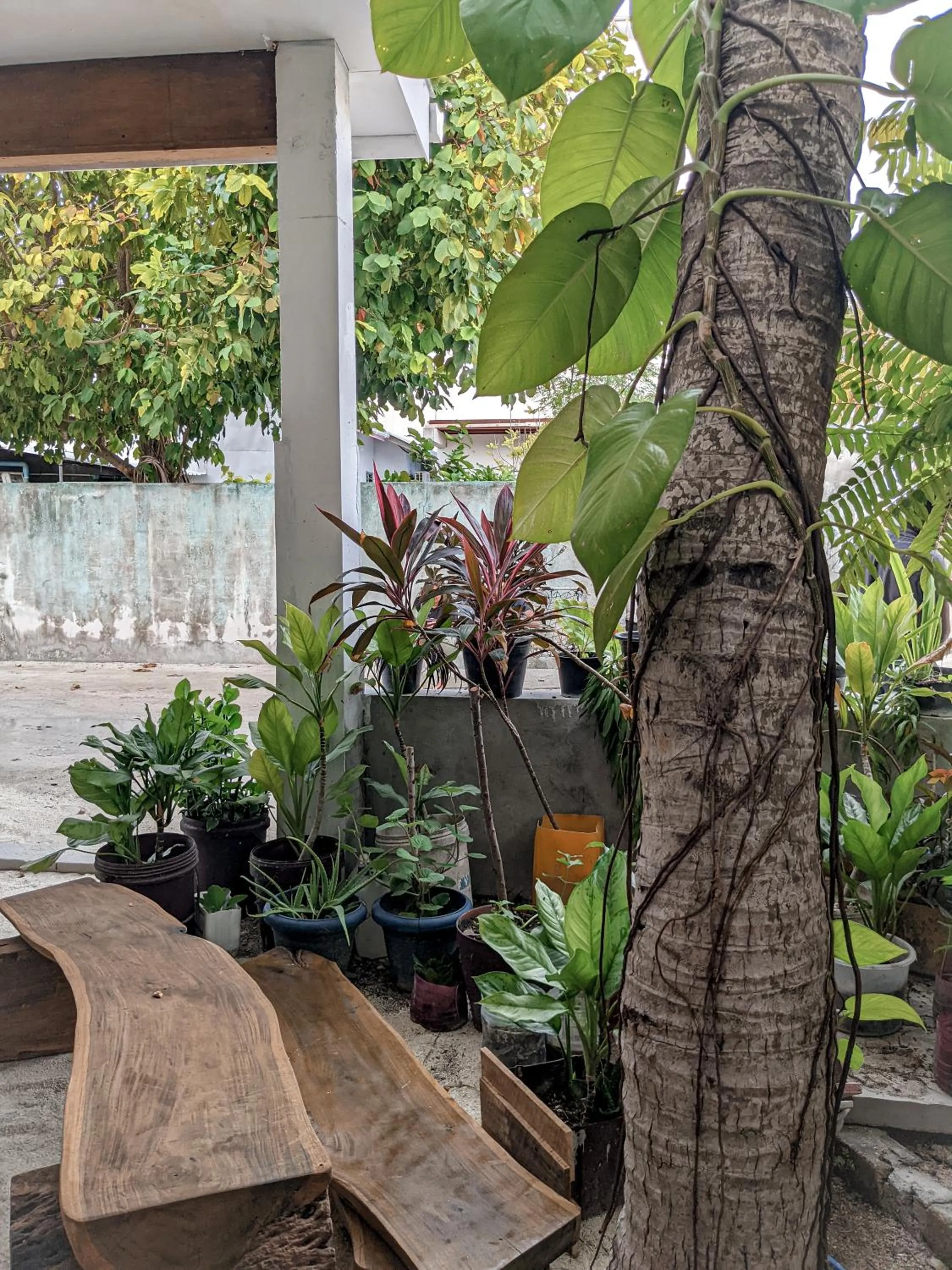 Garden in Dhoadhi Retreat