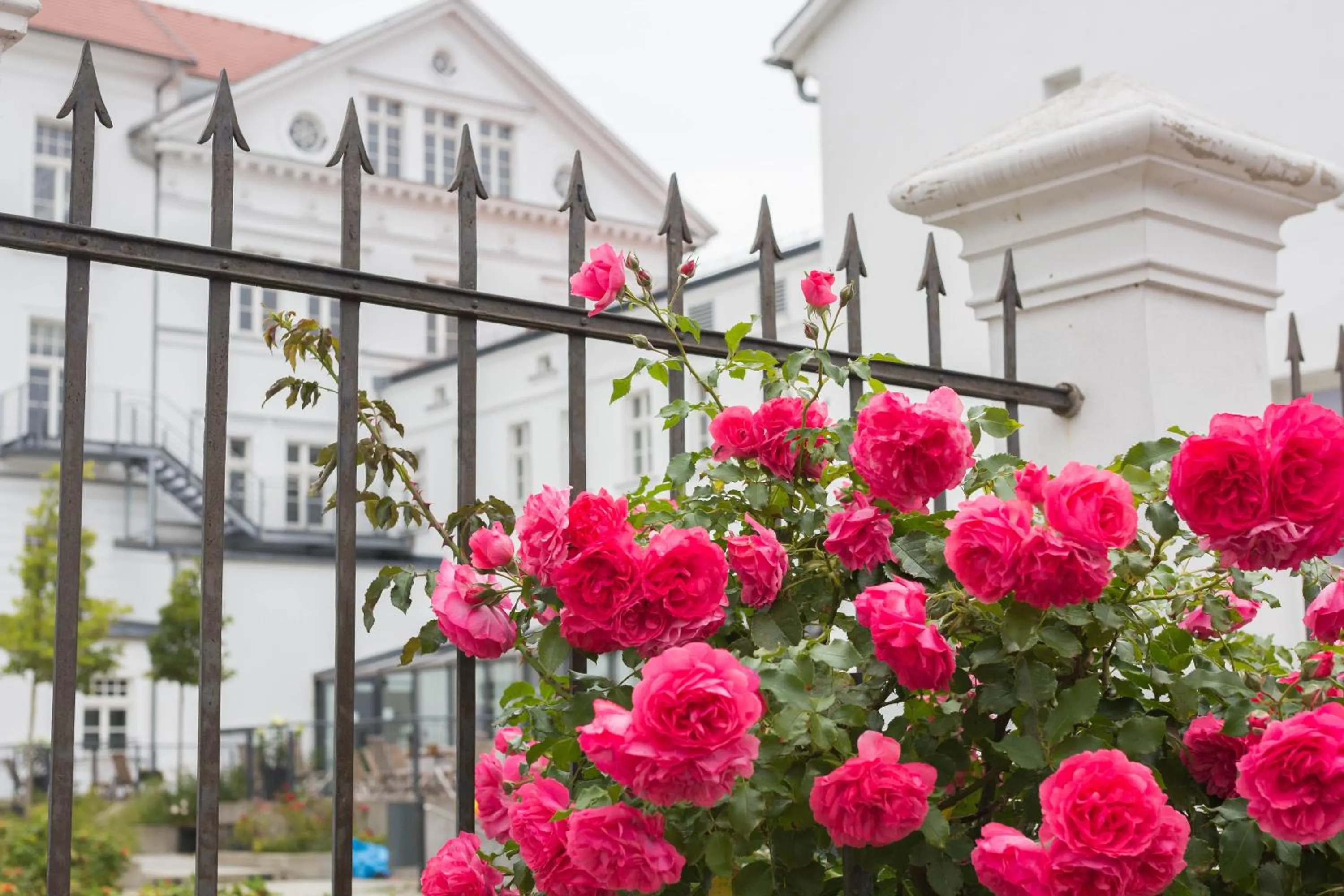 Garden in Hotel am Theater