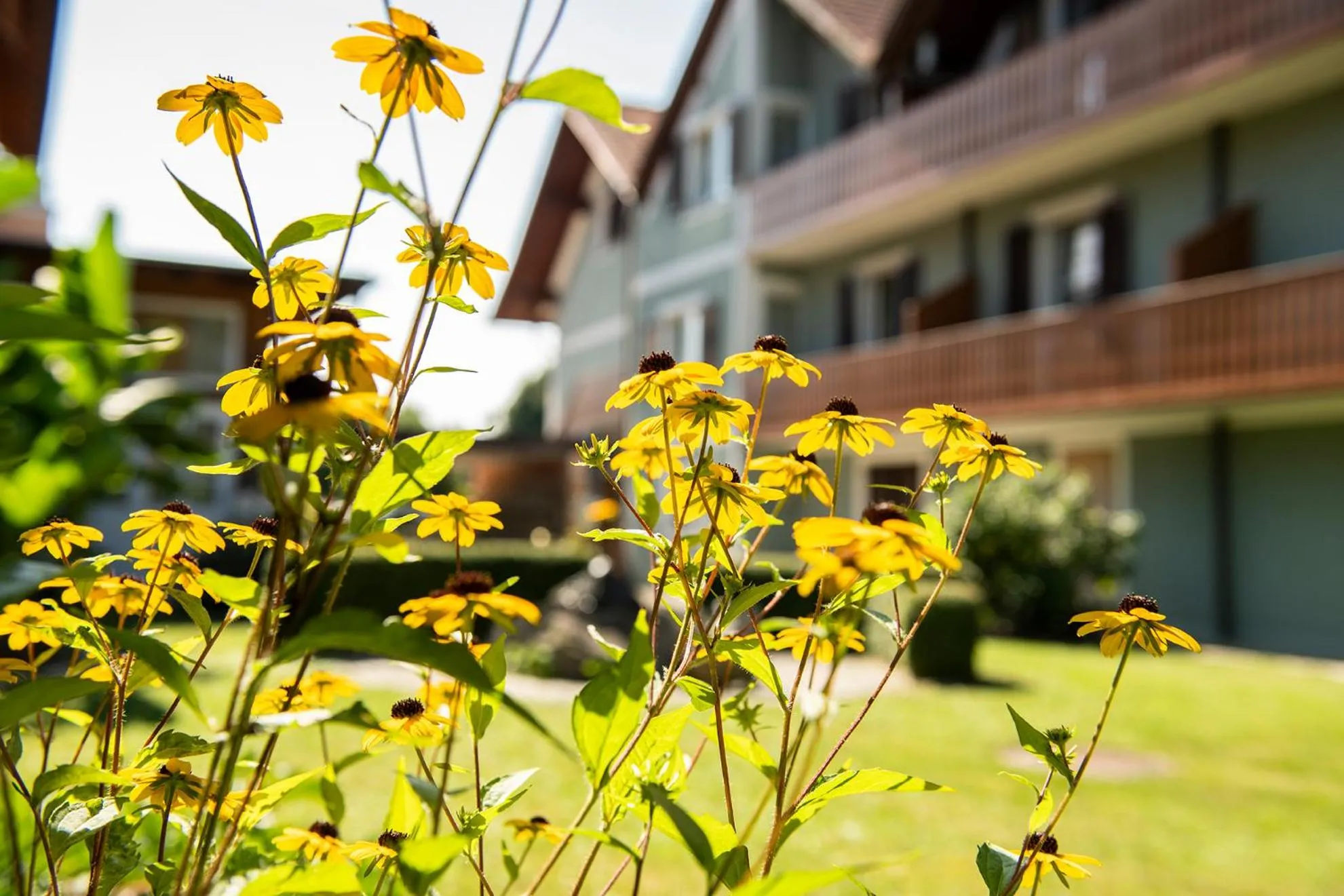 Garden in Hotel Altneudörflerhof