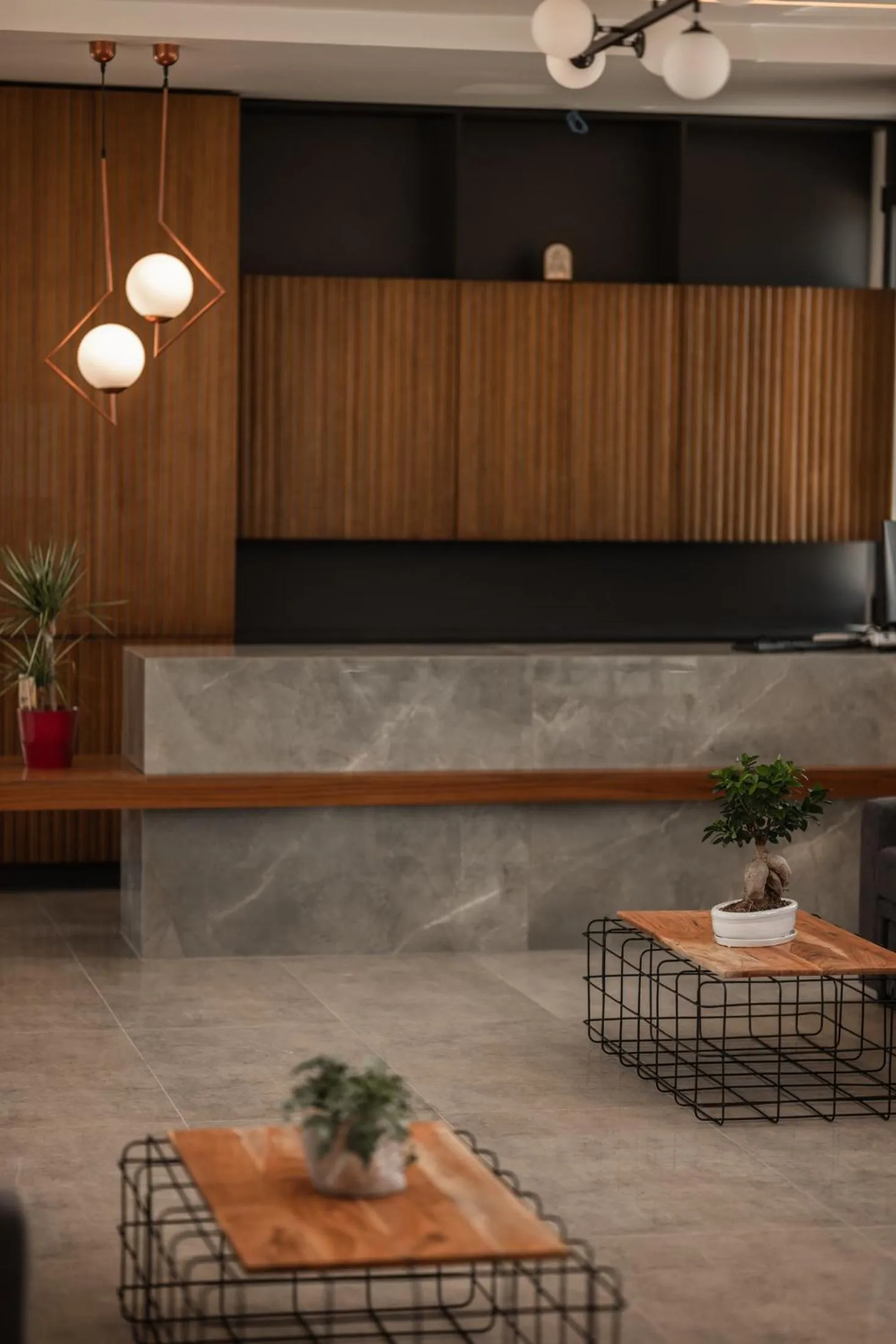 Lobby or reception in Salt Boutique Hotel